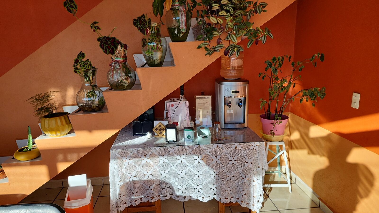 Restaurante La Terraza Amealco Qro. image 10