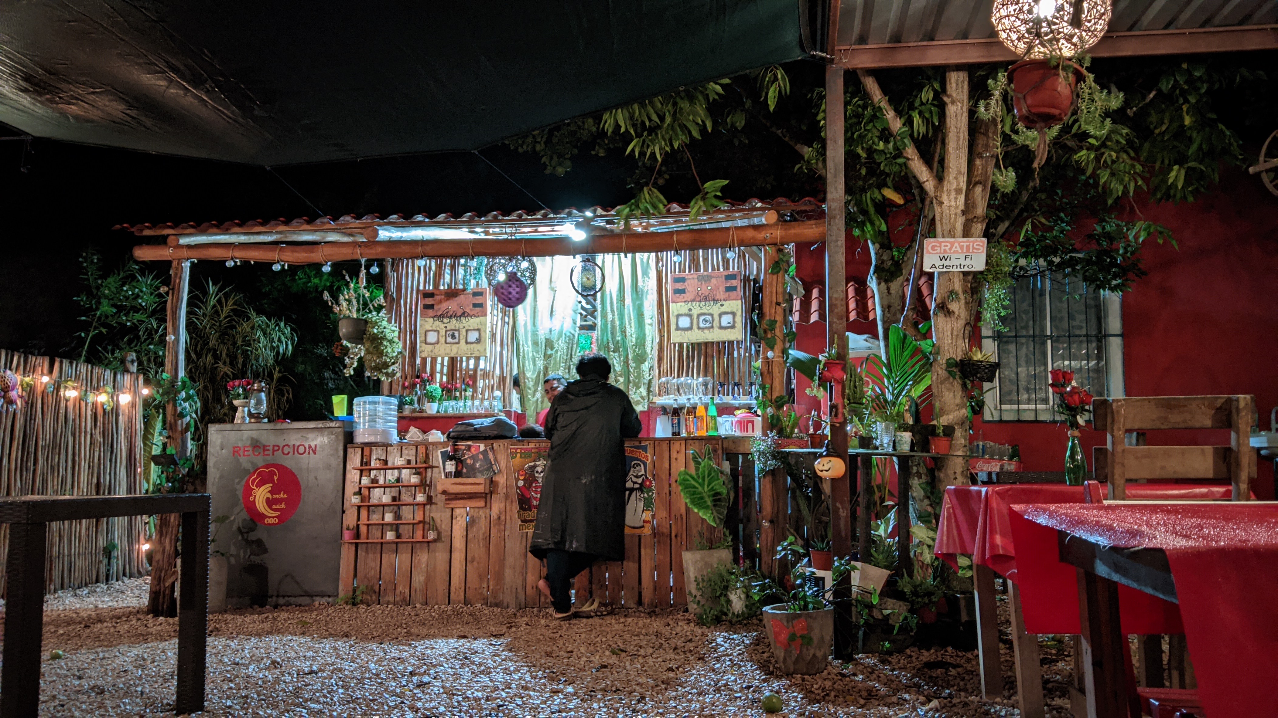 ConchaCauich image 9