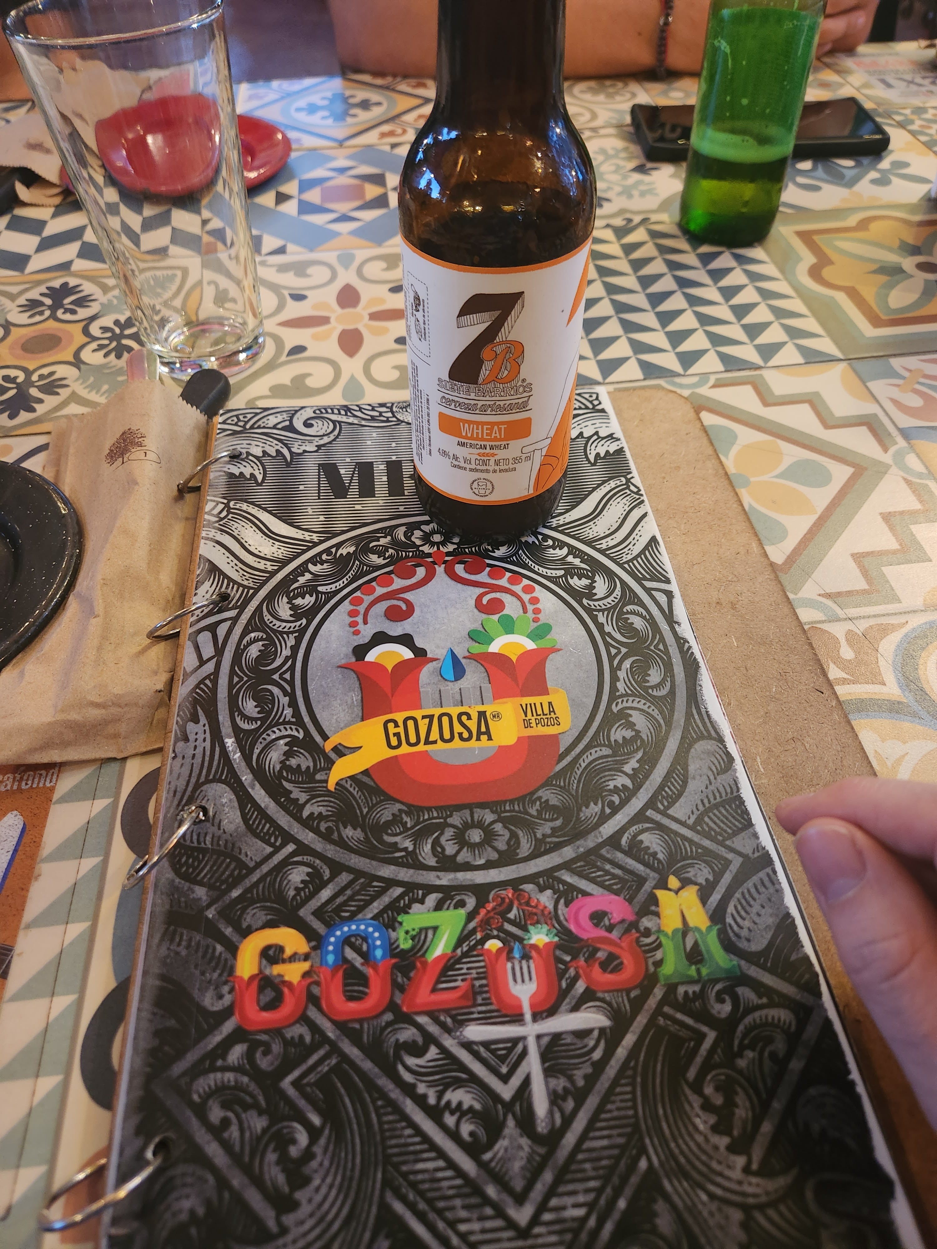 Gozosa Fonda image 7