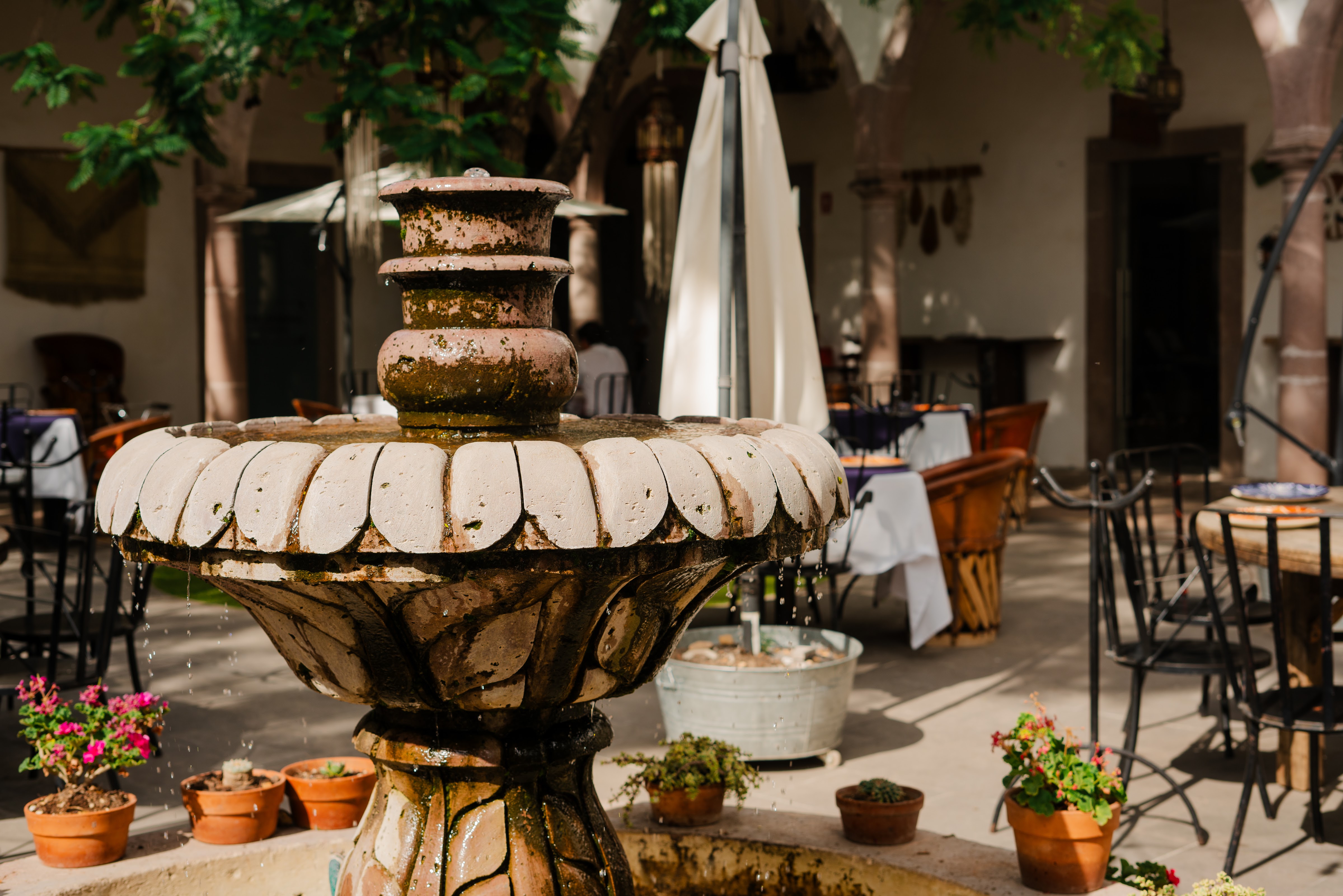 Las Jacarandas Hacienda Restaurante image 1