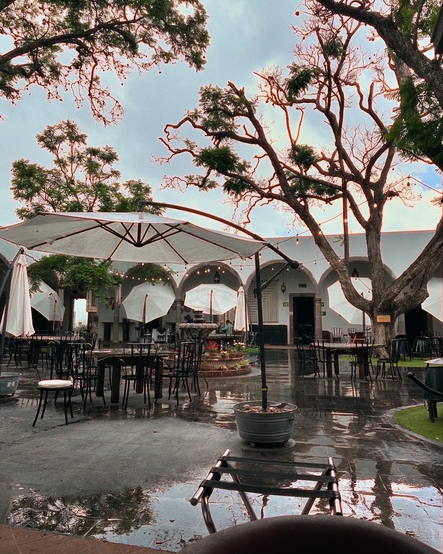 Las Jacarandas Hacienda Restaurante image 4