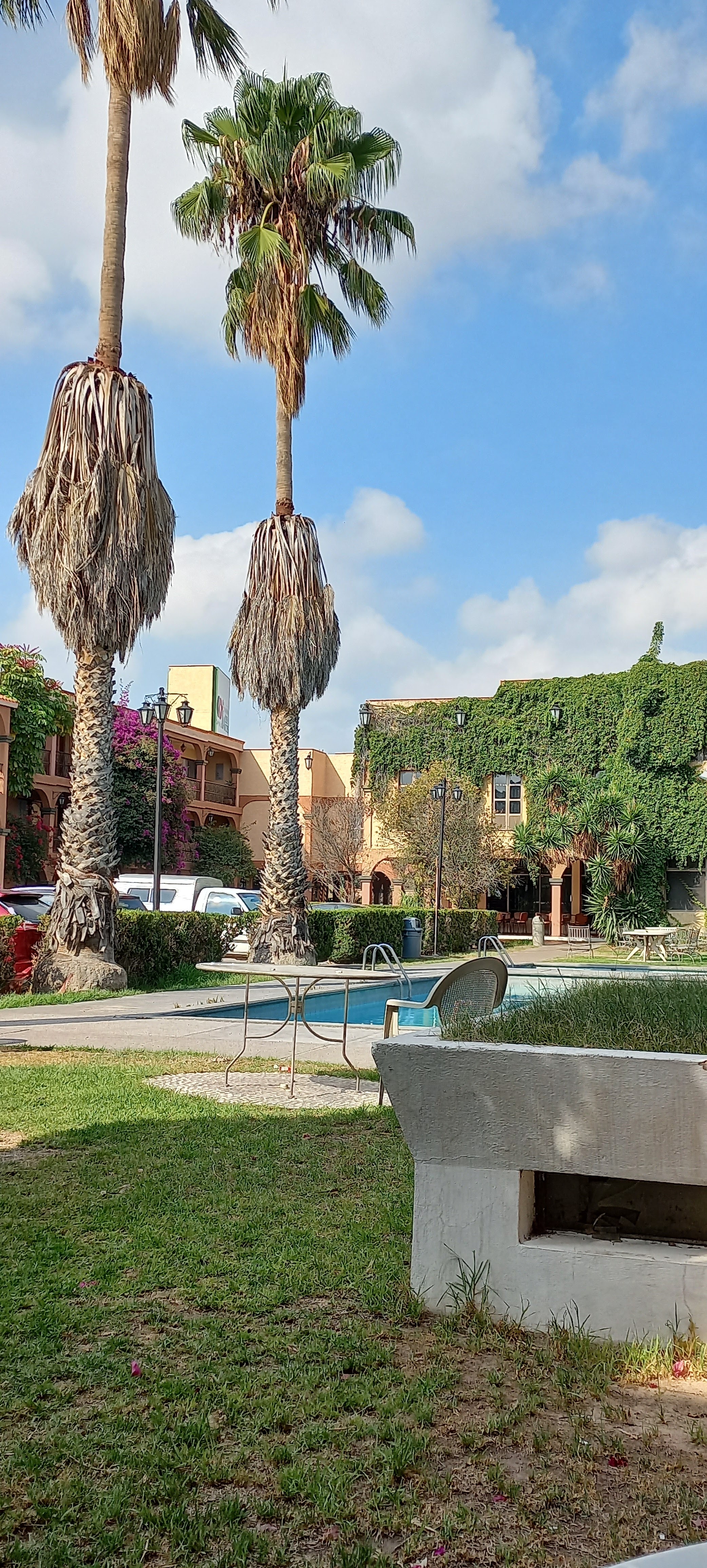 Restaurante Los Faroles image 9