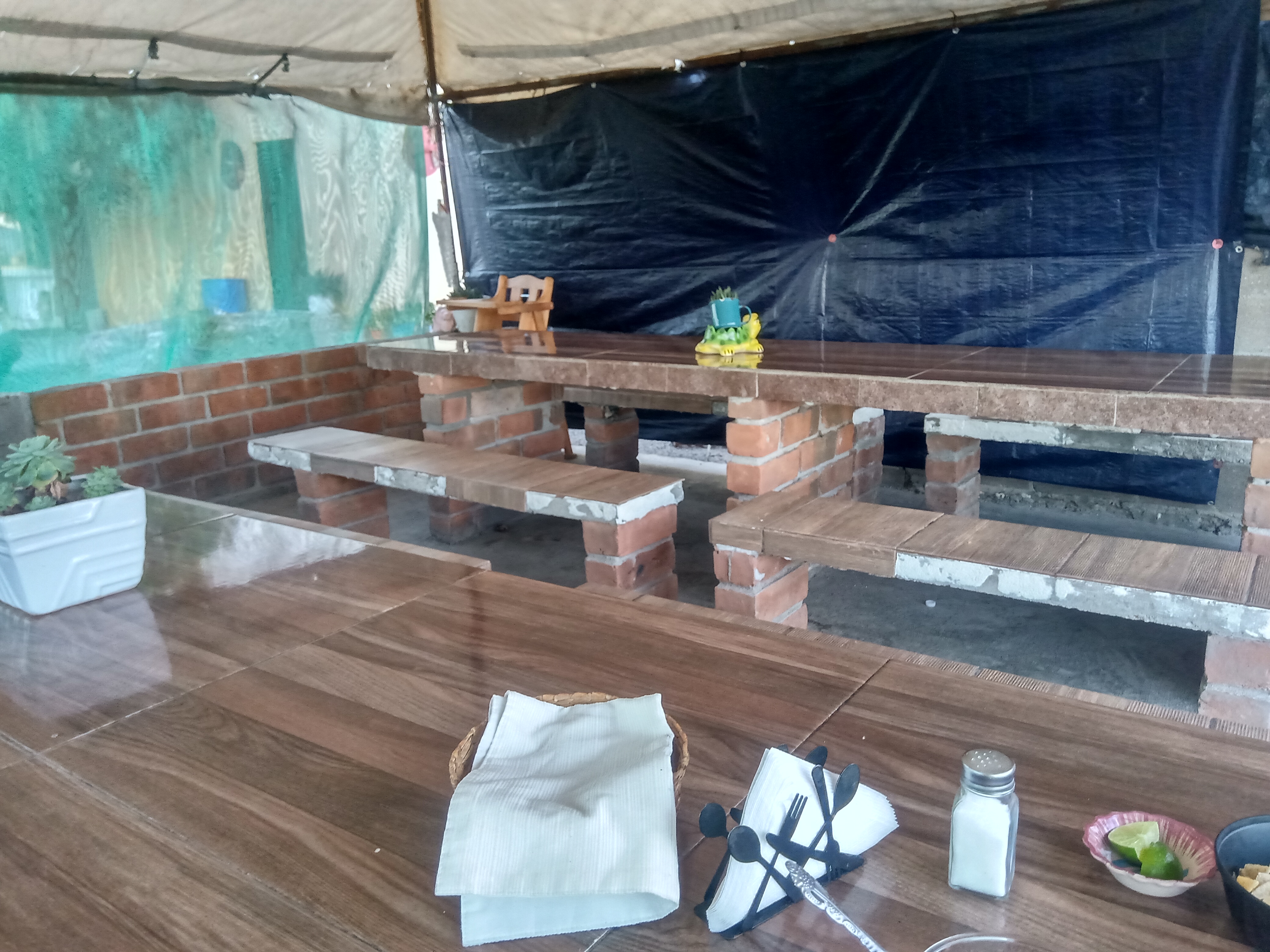 Carnes asadas Las Regias image 7