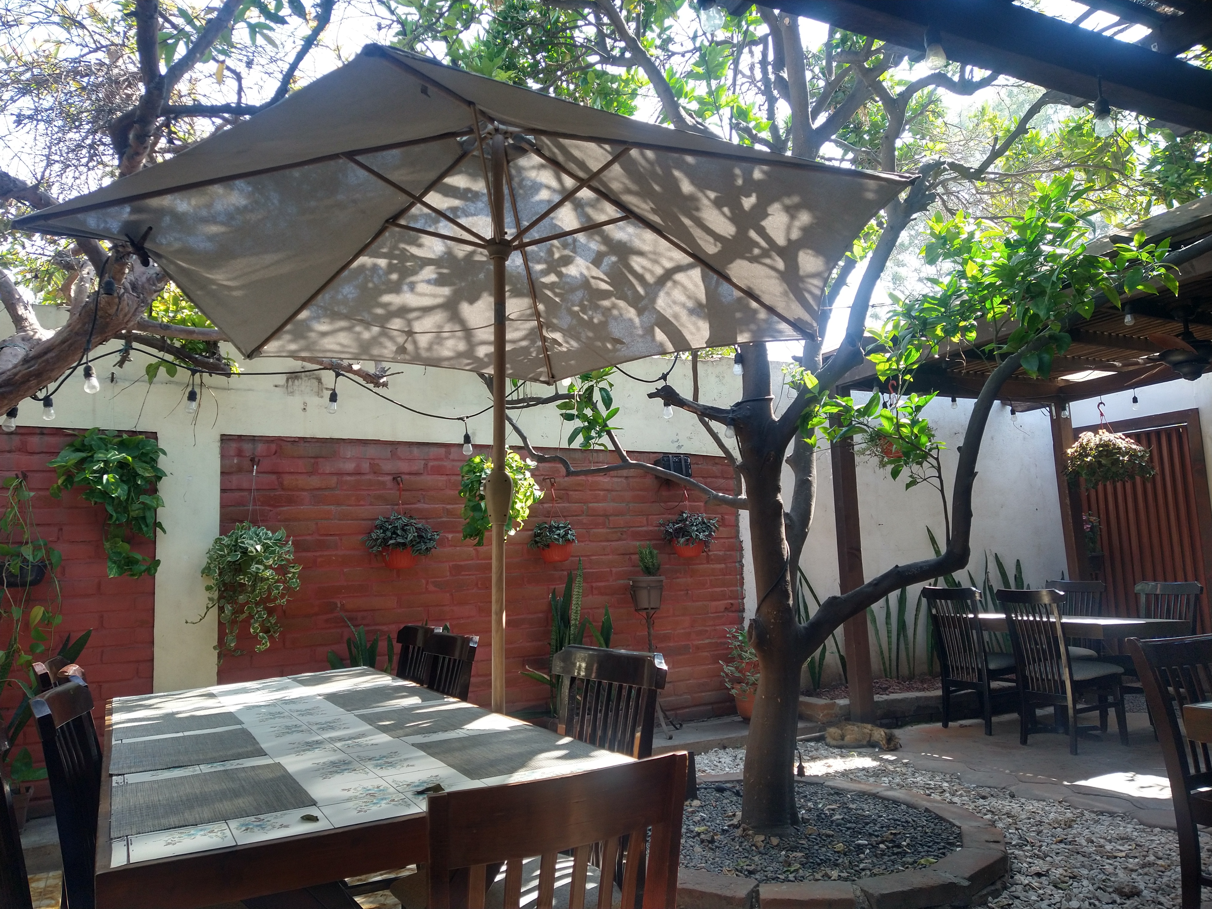 Casa Marcelo image 5