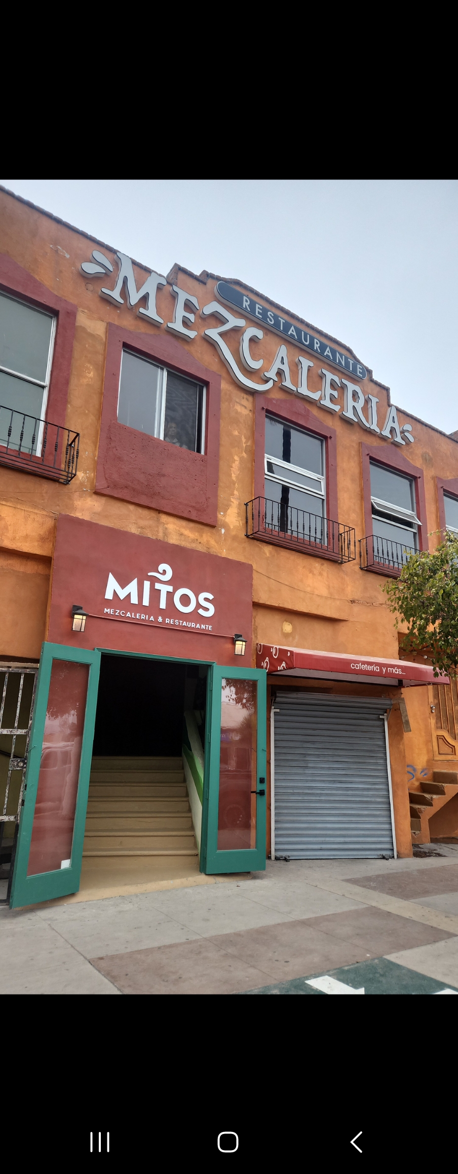 Mitos Mezcaleria y Restaurante image 1