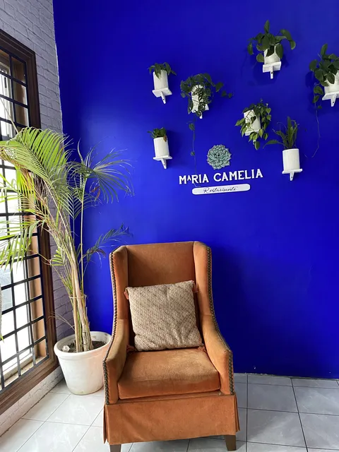 Maria Camelia Restaurante image 7