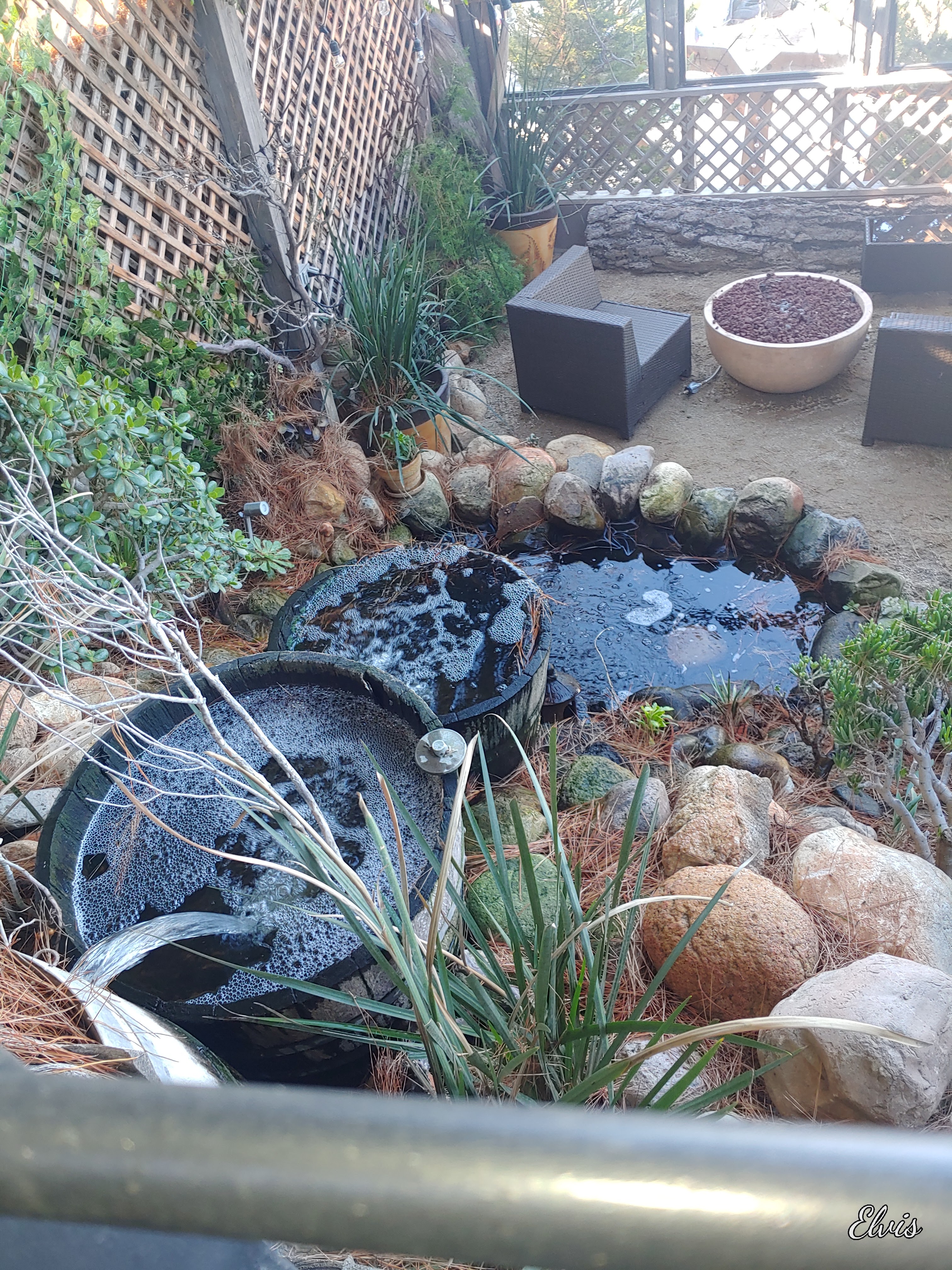 Paraíso Restaurant image 7