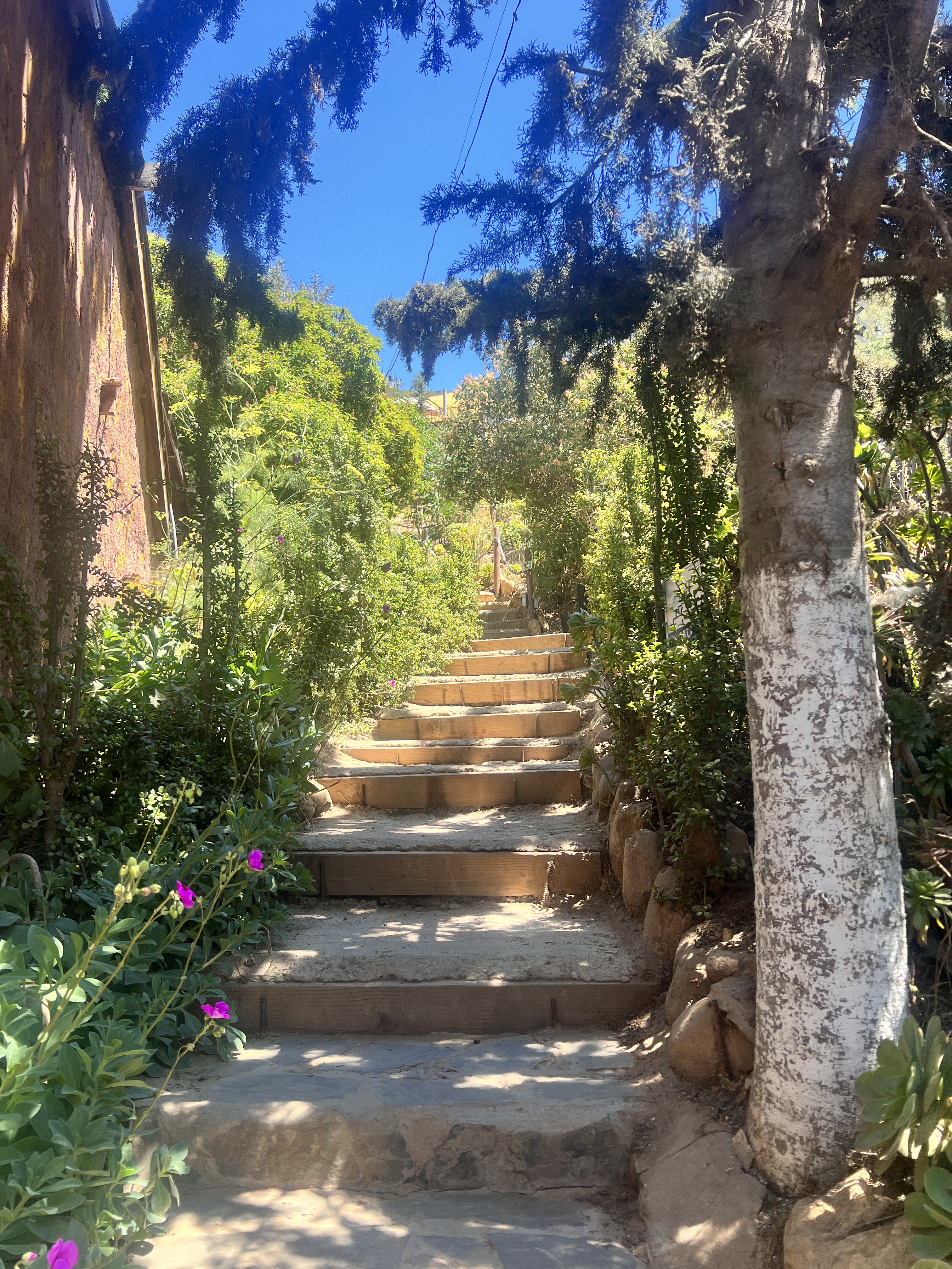 Paraíso Restaurant image 9