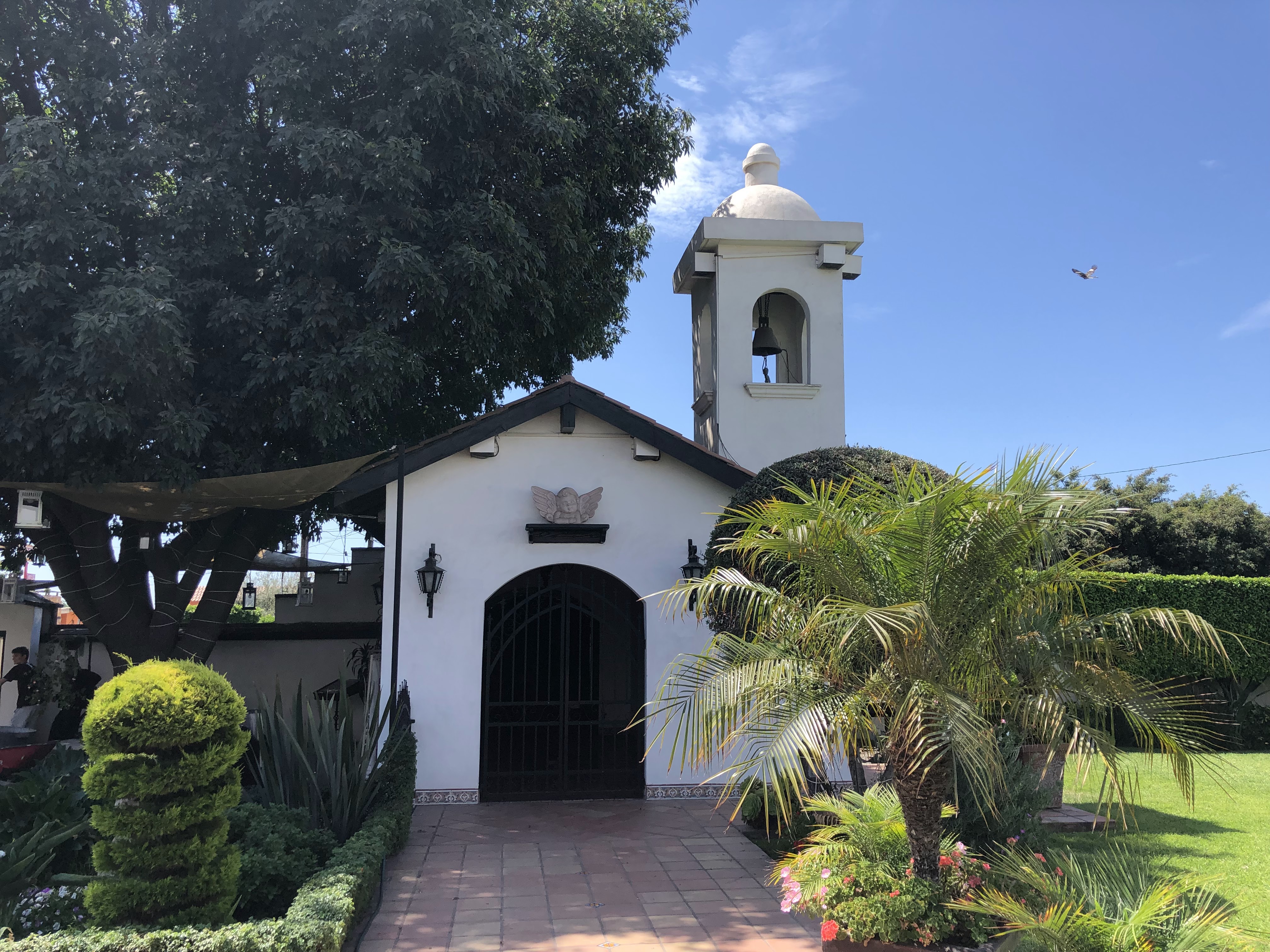 Hacienda de San Ángel Restaurante image 6