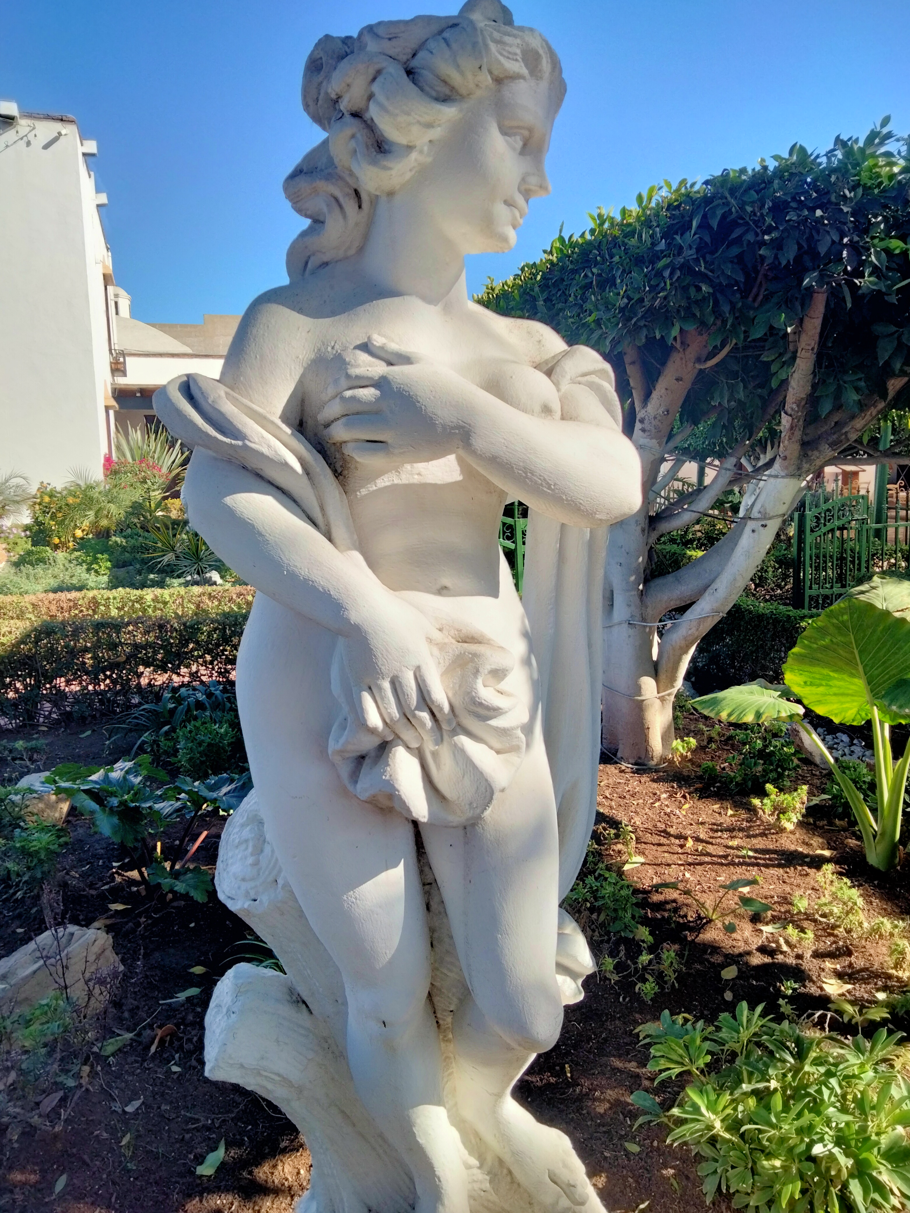 Hacienda de San Ángel Restaurante image 8