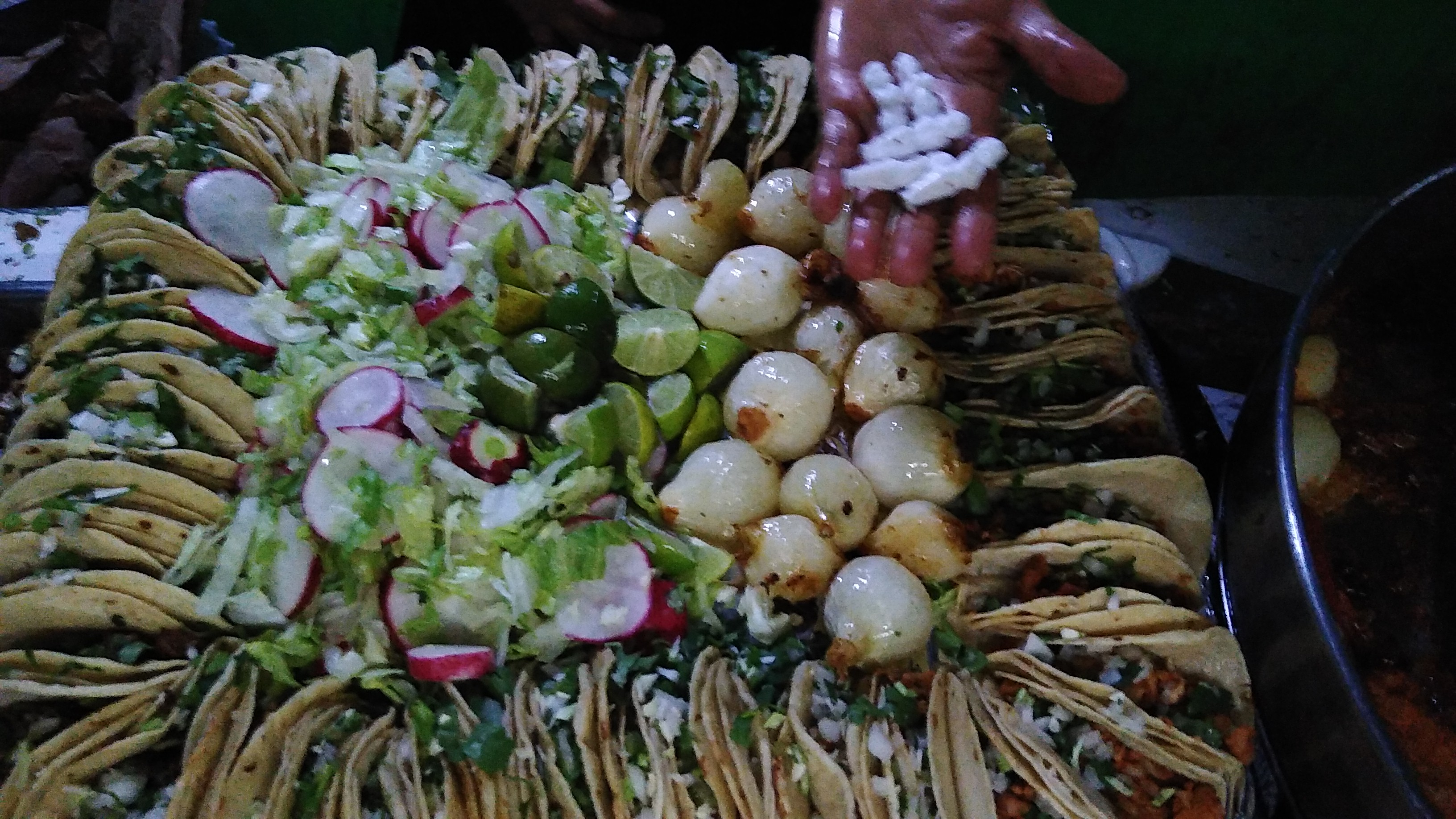 Taqueria Rodríguez image 2