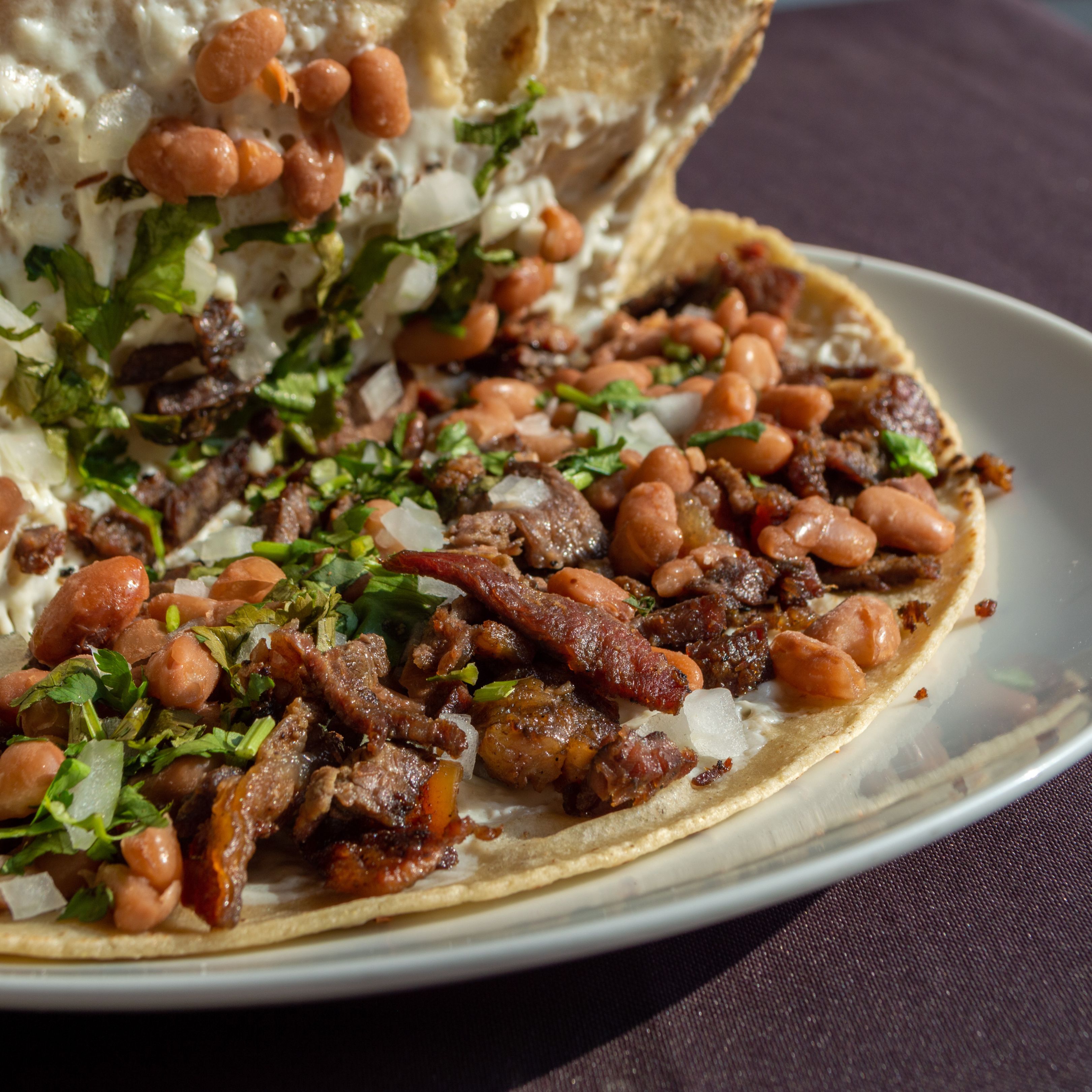 La Trufa Restaurant image 7