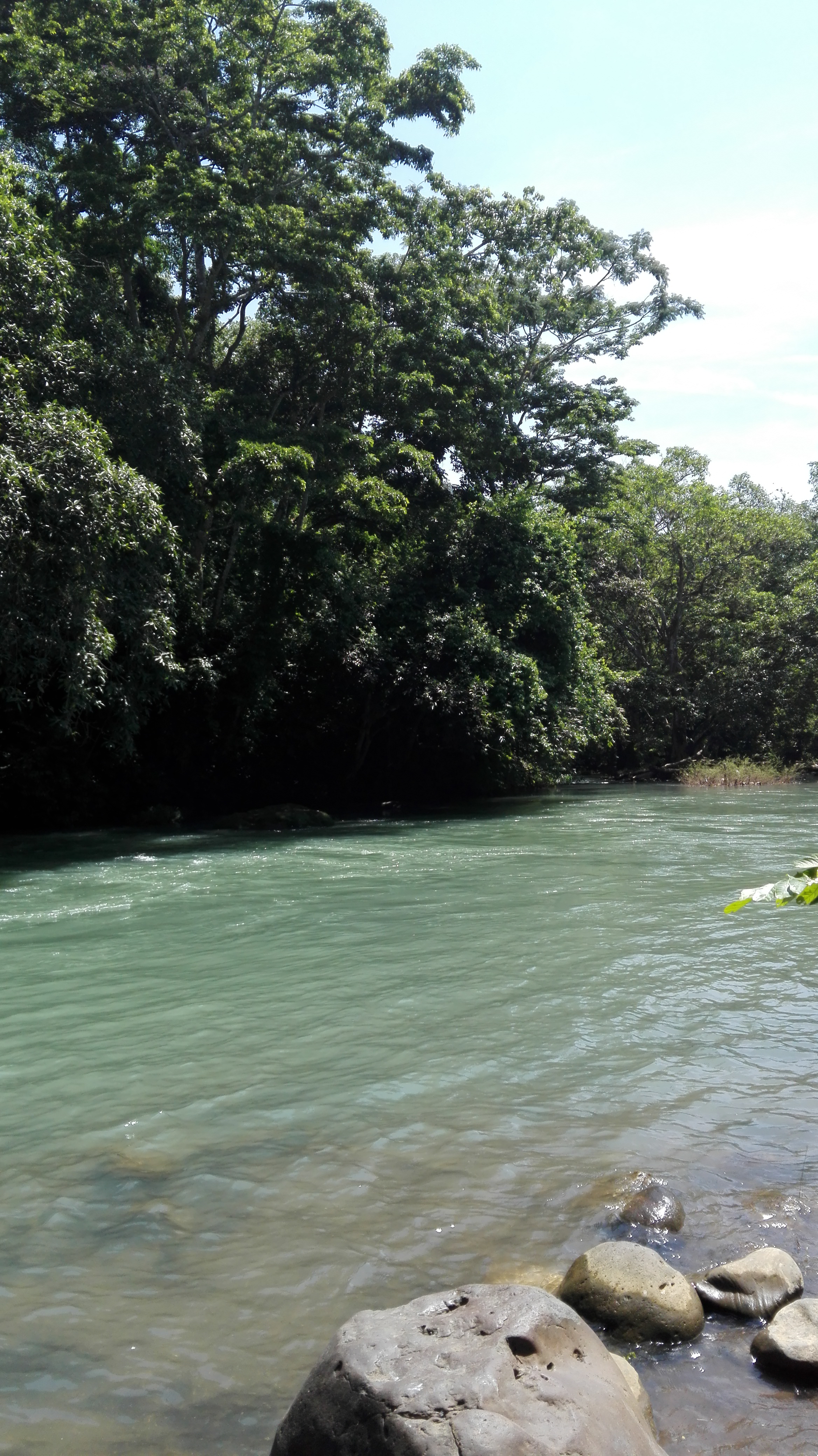 Carnitas Lalo image 2