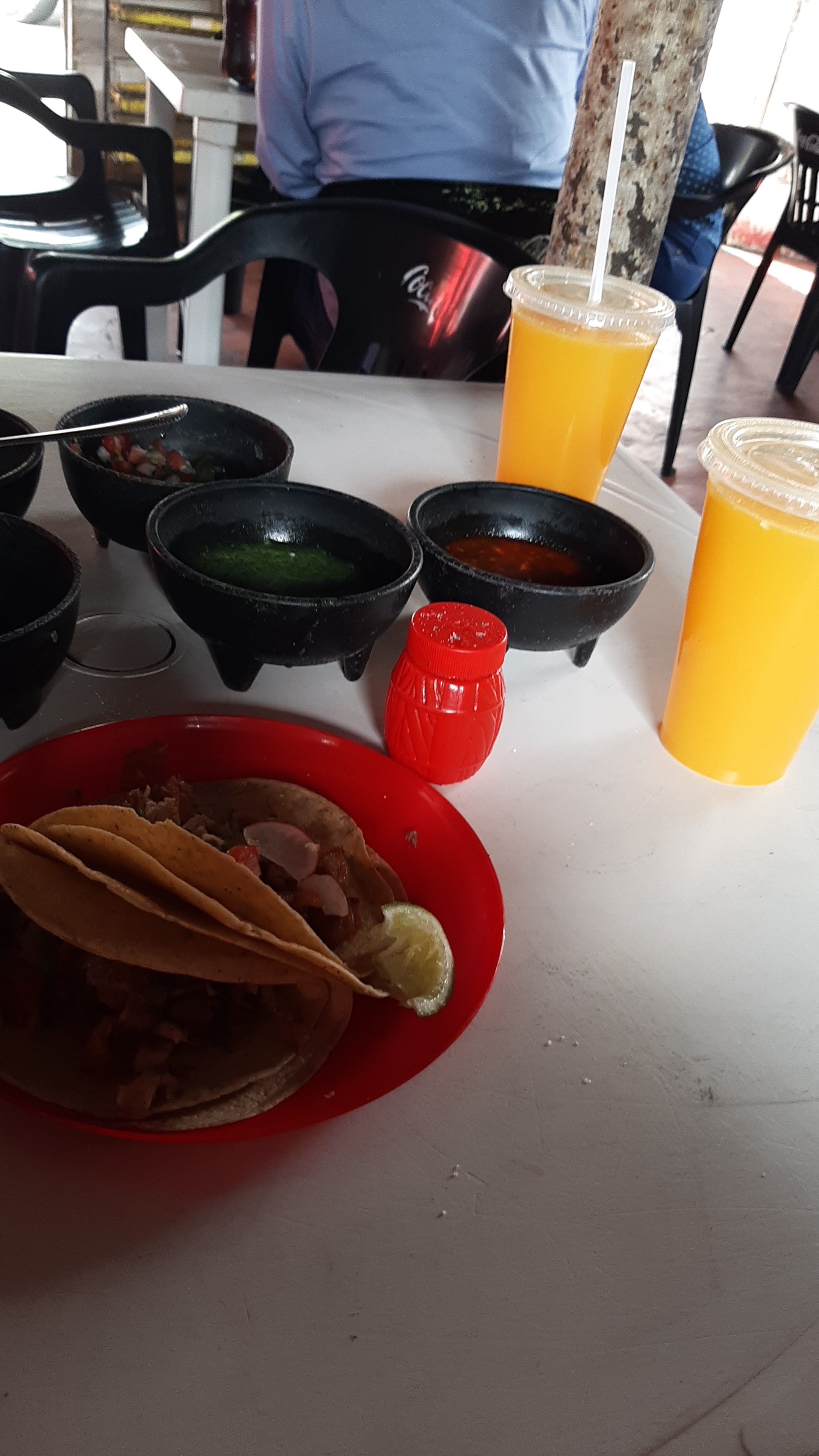 Carnitas Lalo image 4