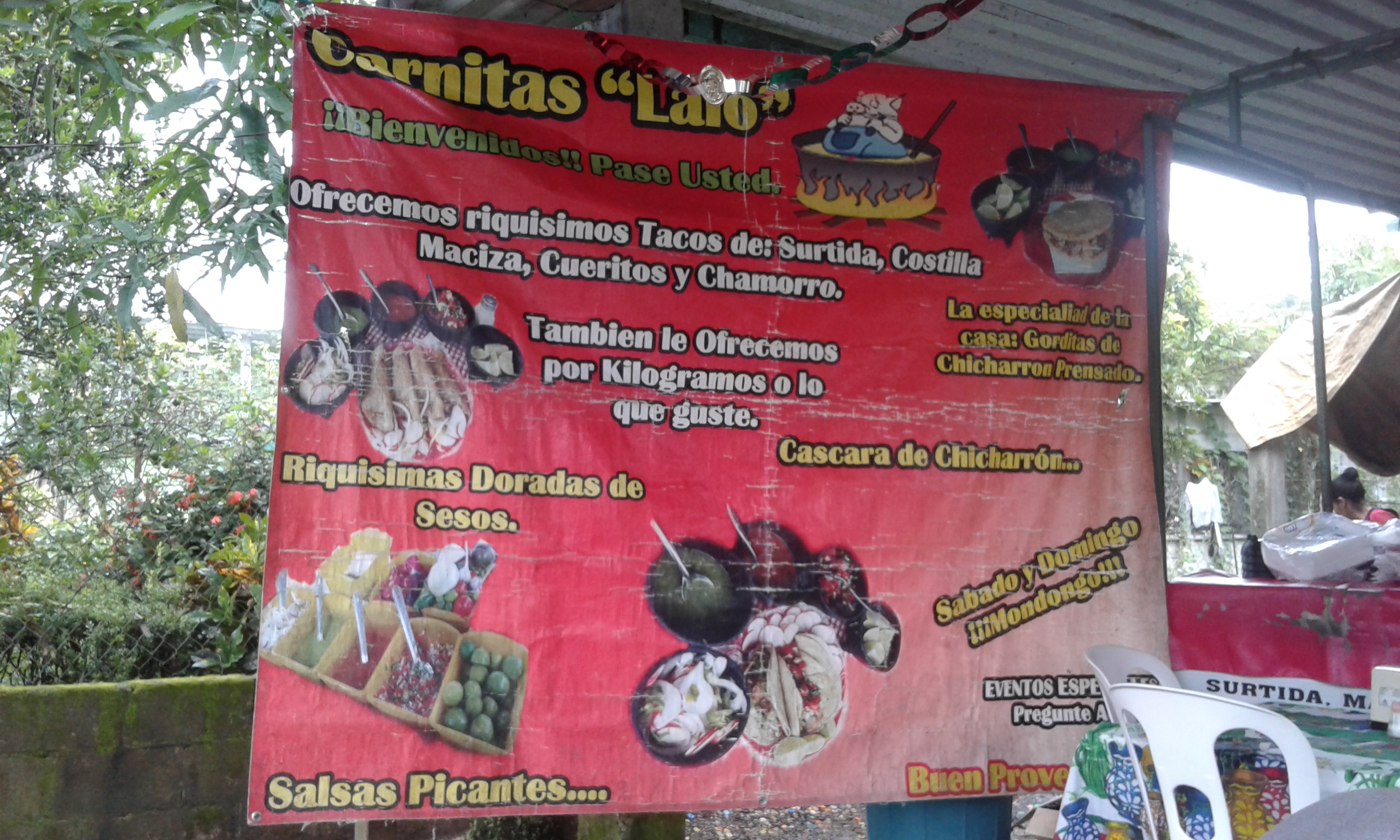 Carnitas Lalo image 8