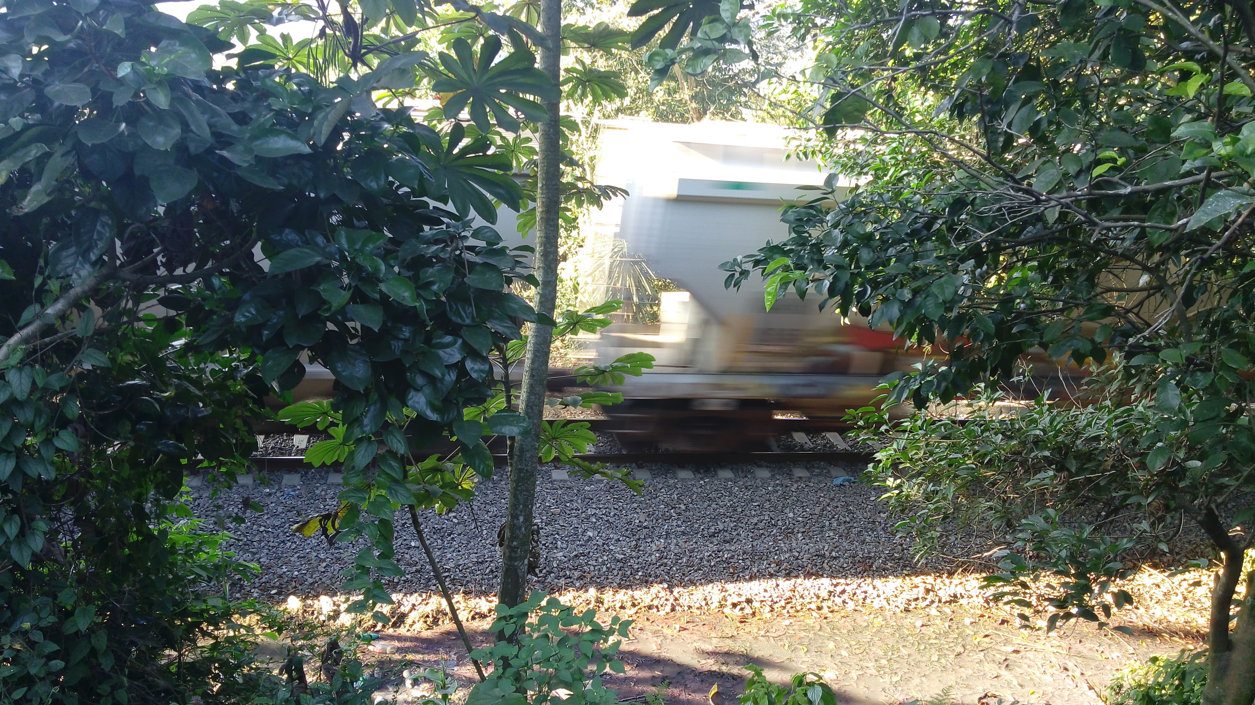 Pollos Garlez image 3