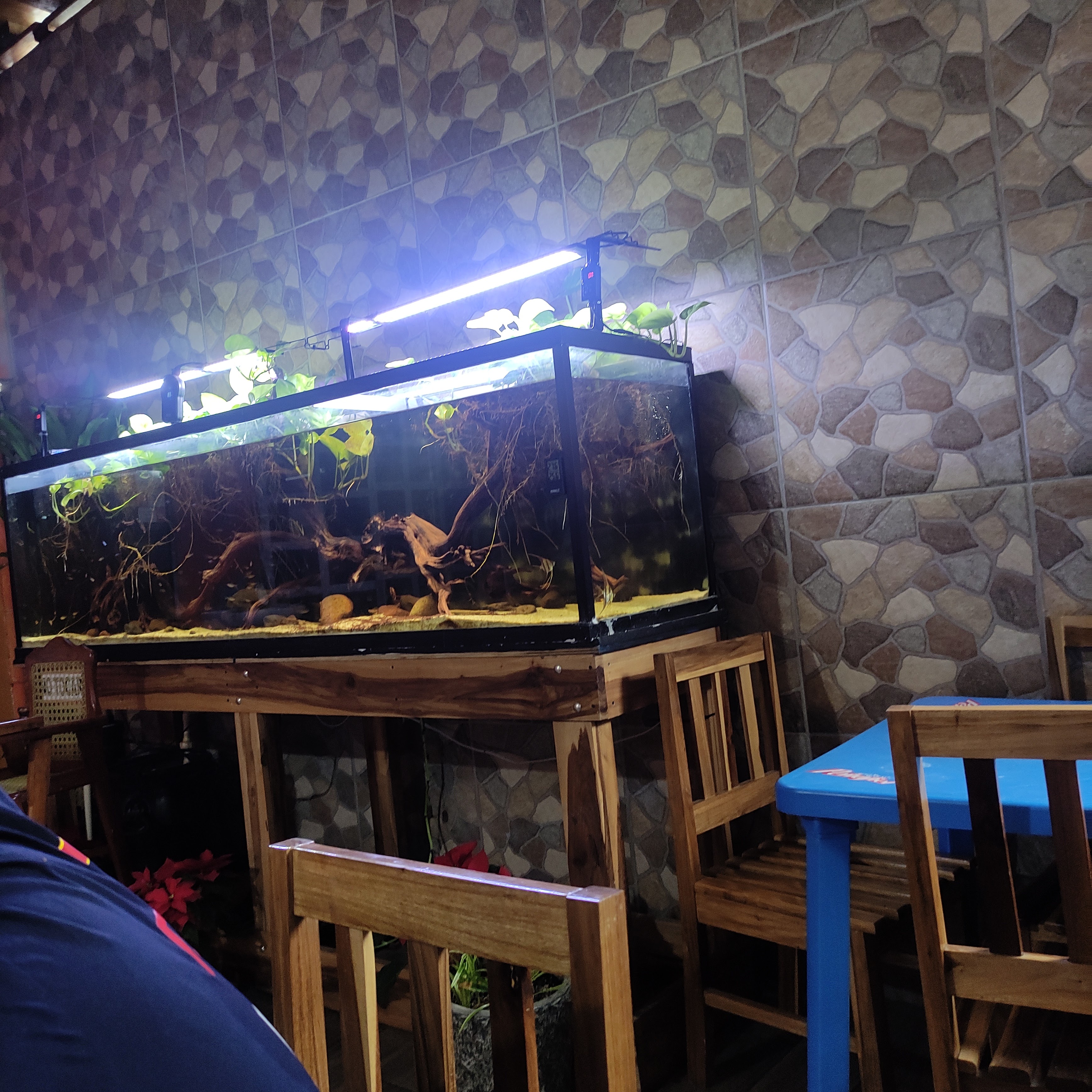 Coctelería "La Jaiba" image 10