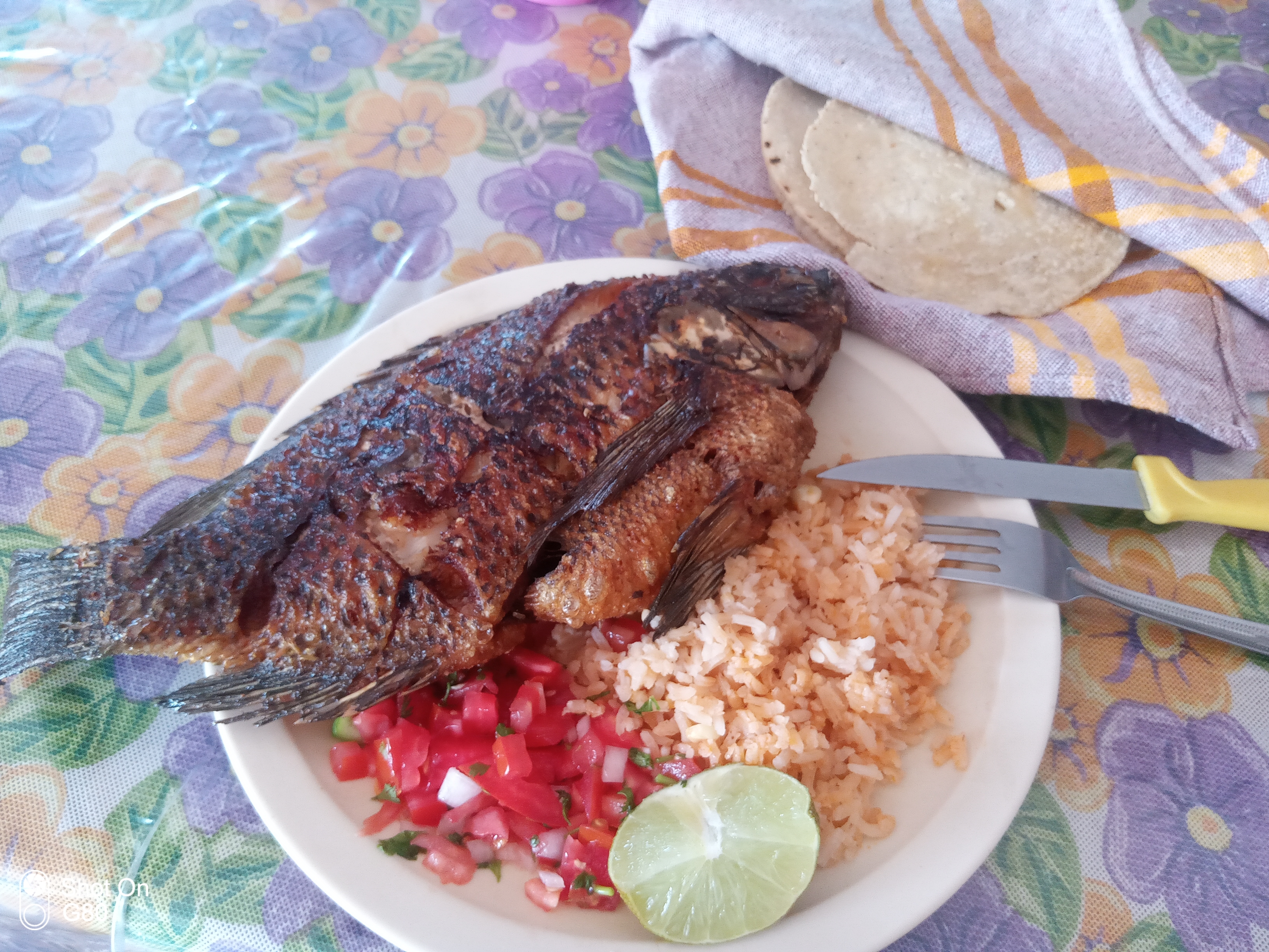 Las cazuelas image 6