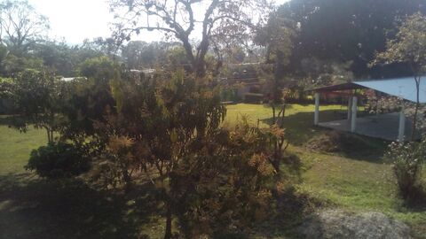 La Parrilla image 5