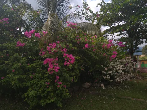 El Rinconcito image 7