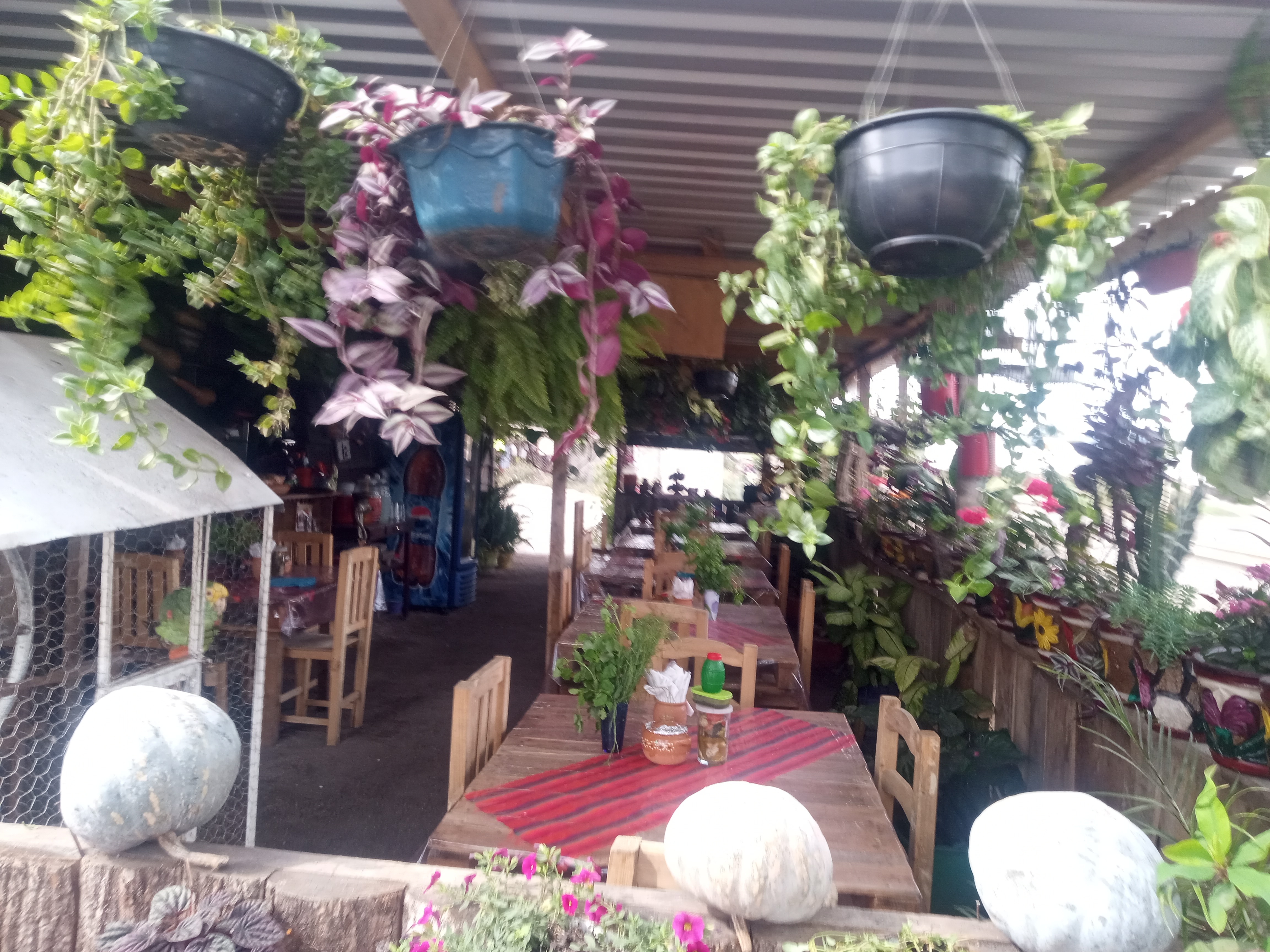 La cabañita de Susy image 5