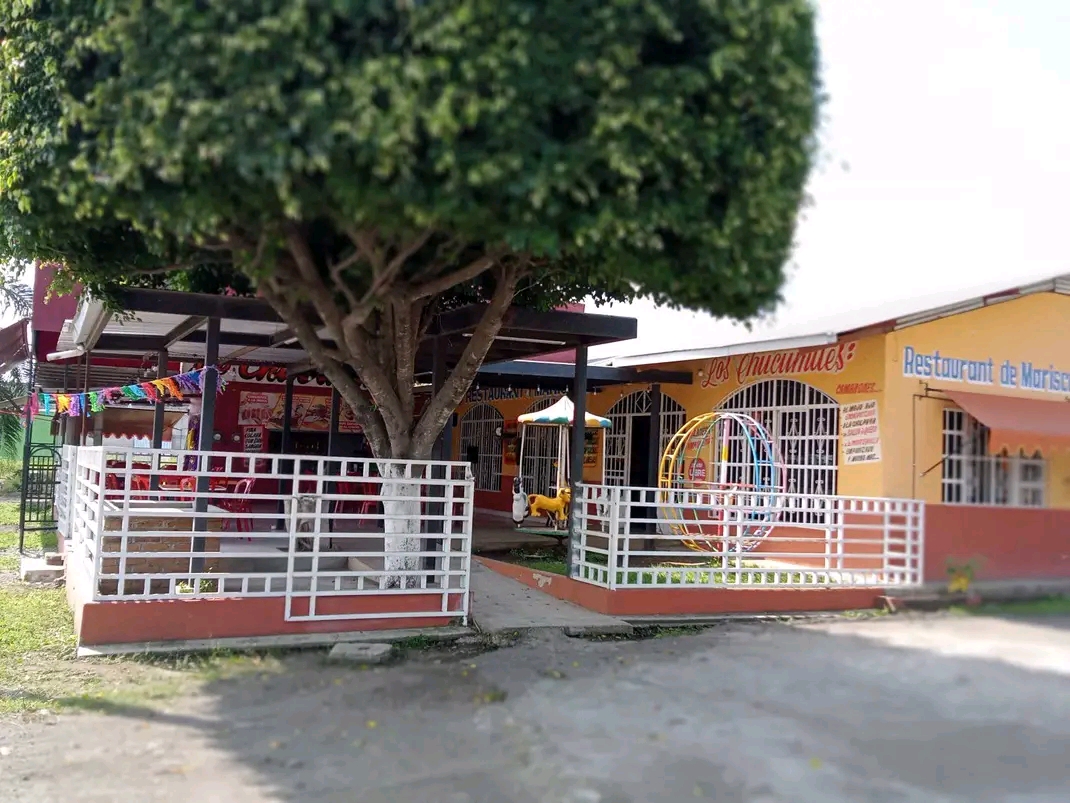 Restaurante Los Chucumites Libramiento image 8