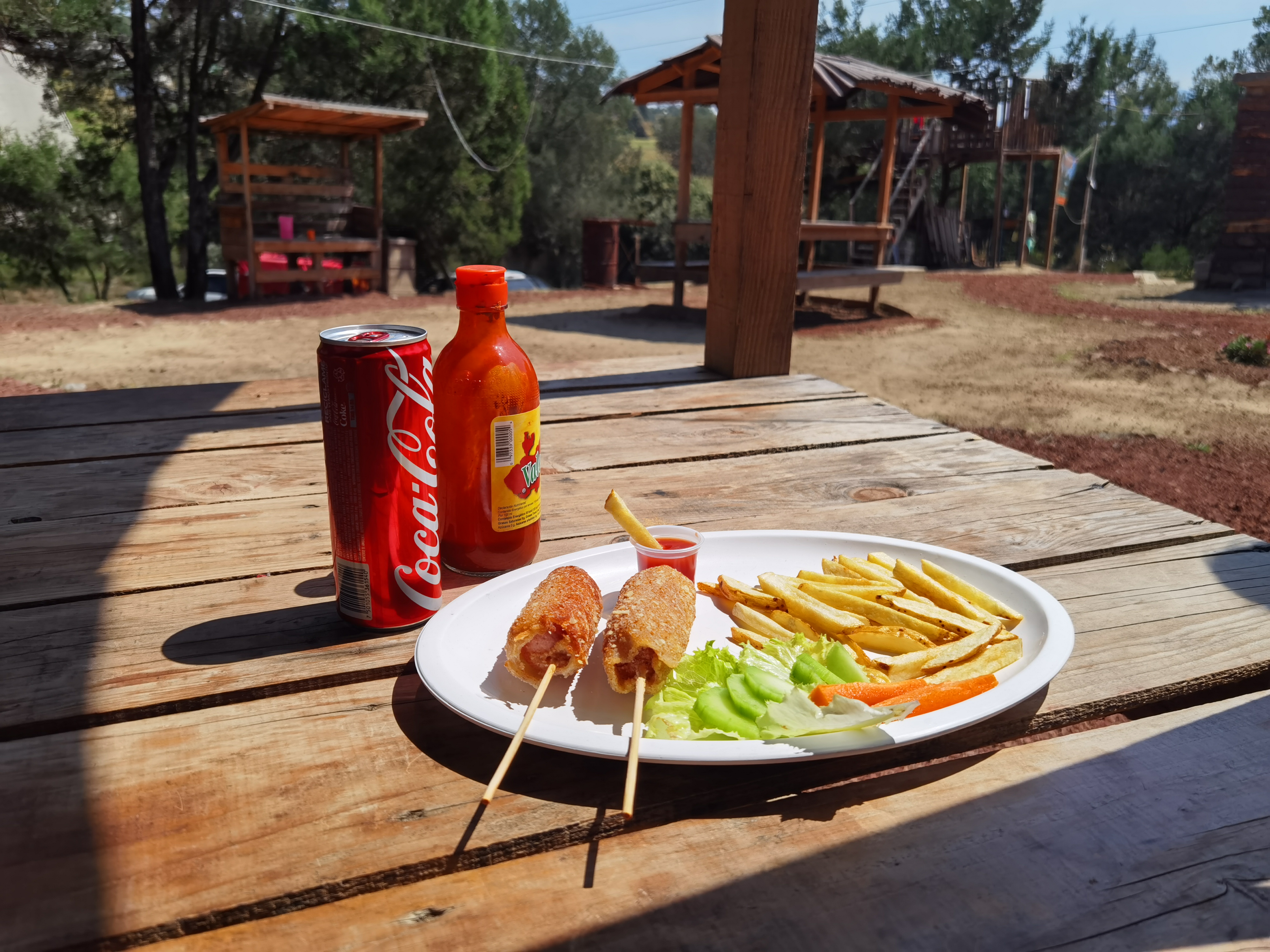 El Rincón del Chichimecatehutli image 2