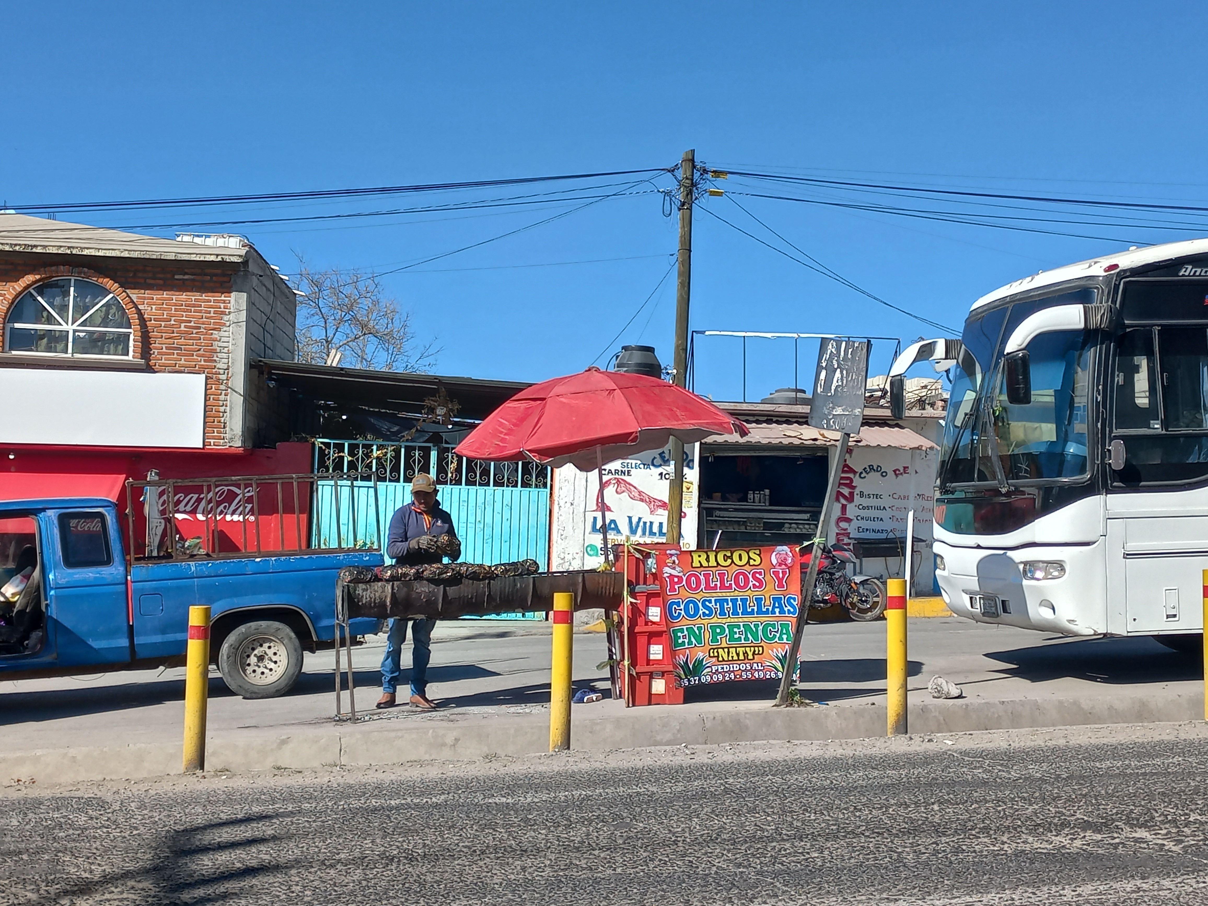 Ricos pollos en penca image 1