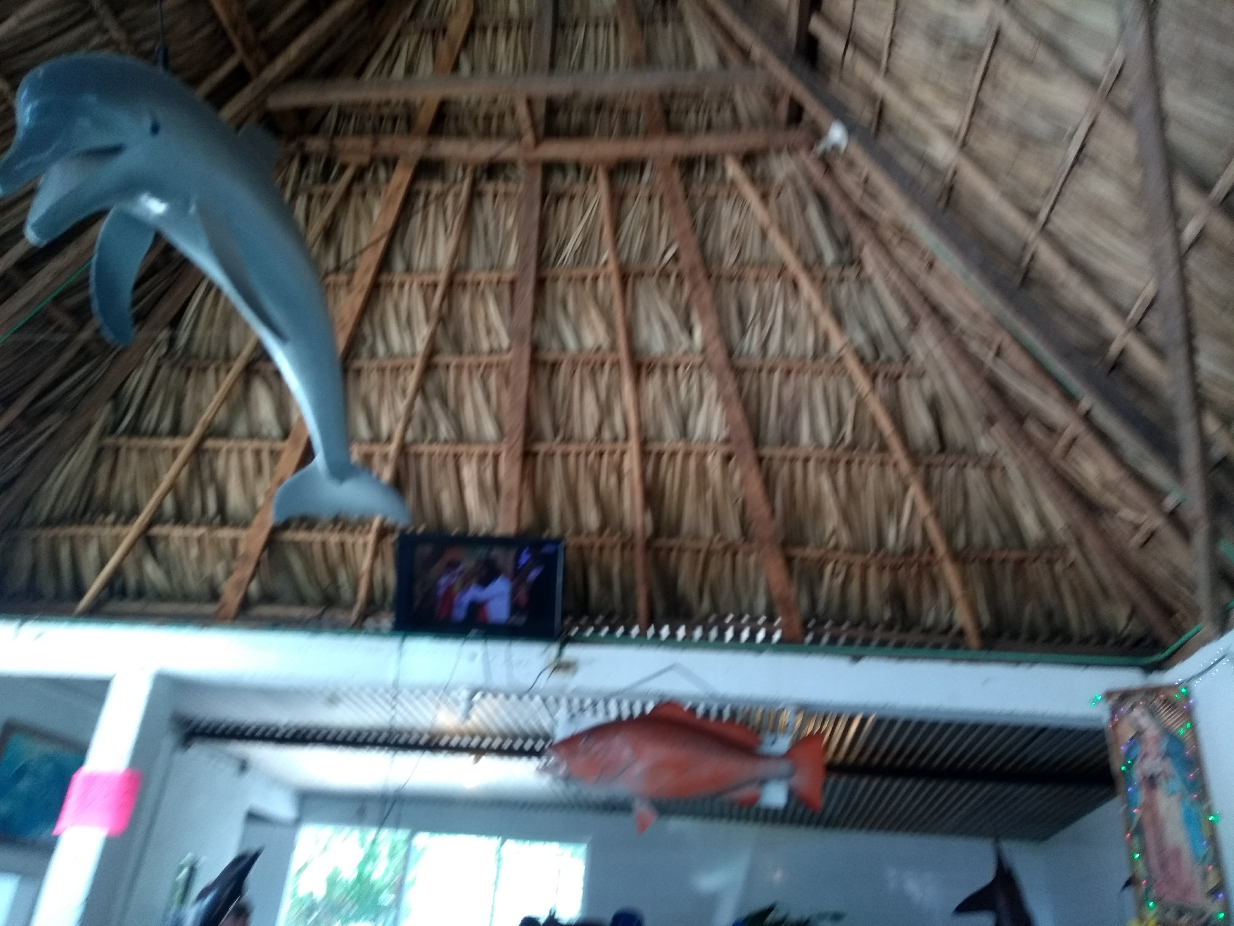 Marisquería El Delfín image 8