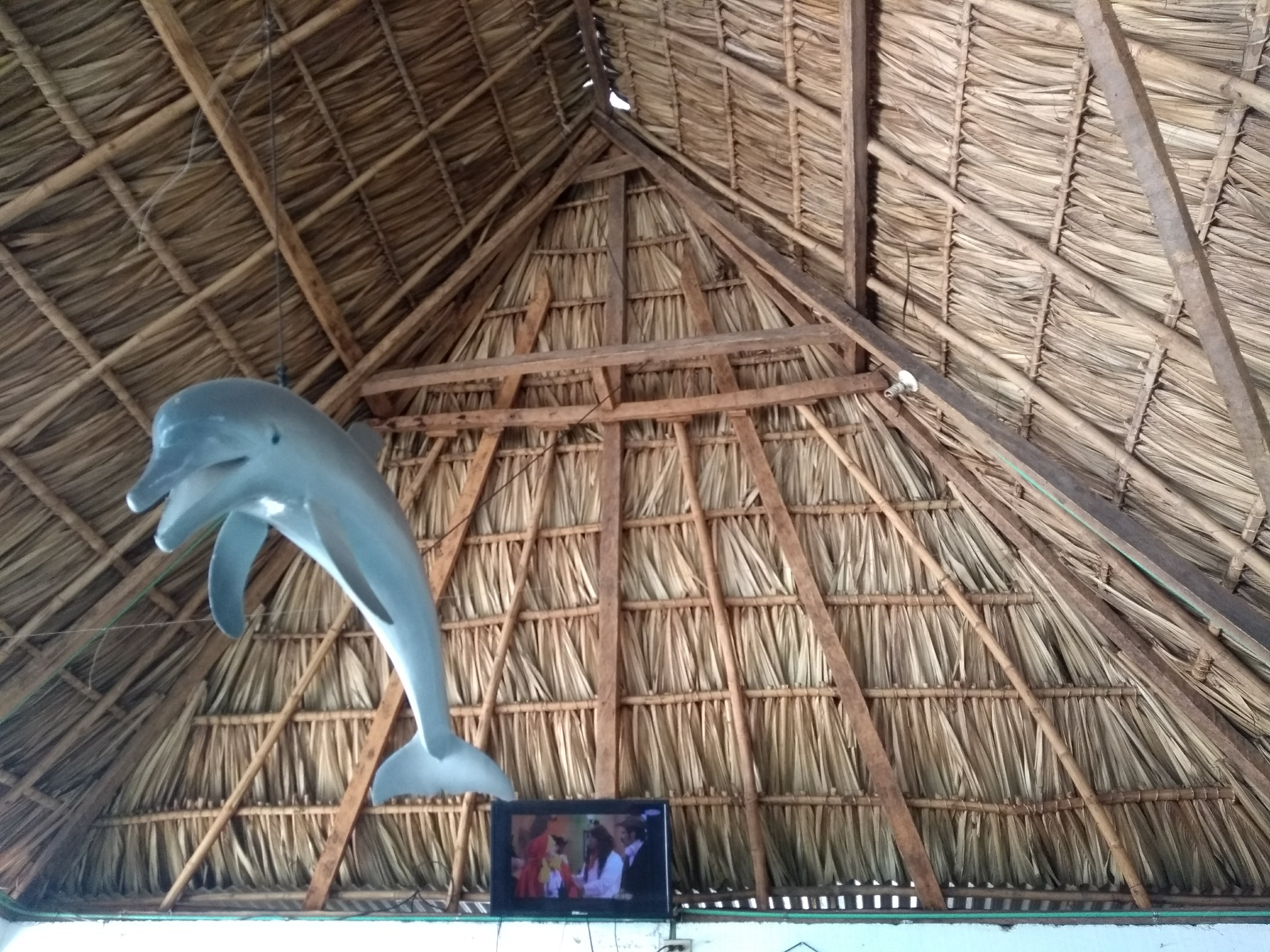 Marisquería El Delfín image 10