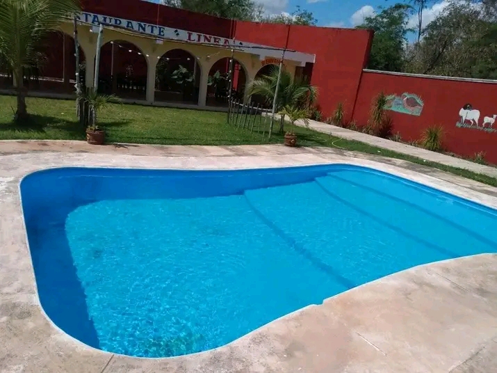 Restaurante Linea image 2