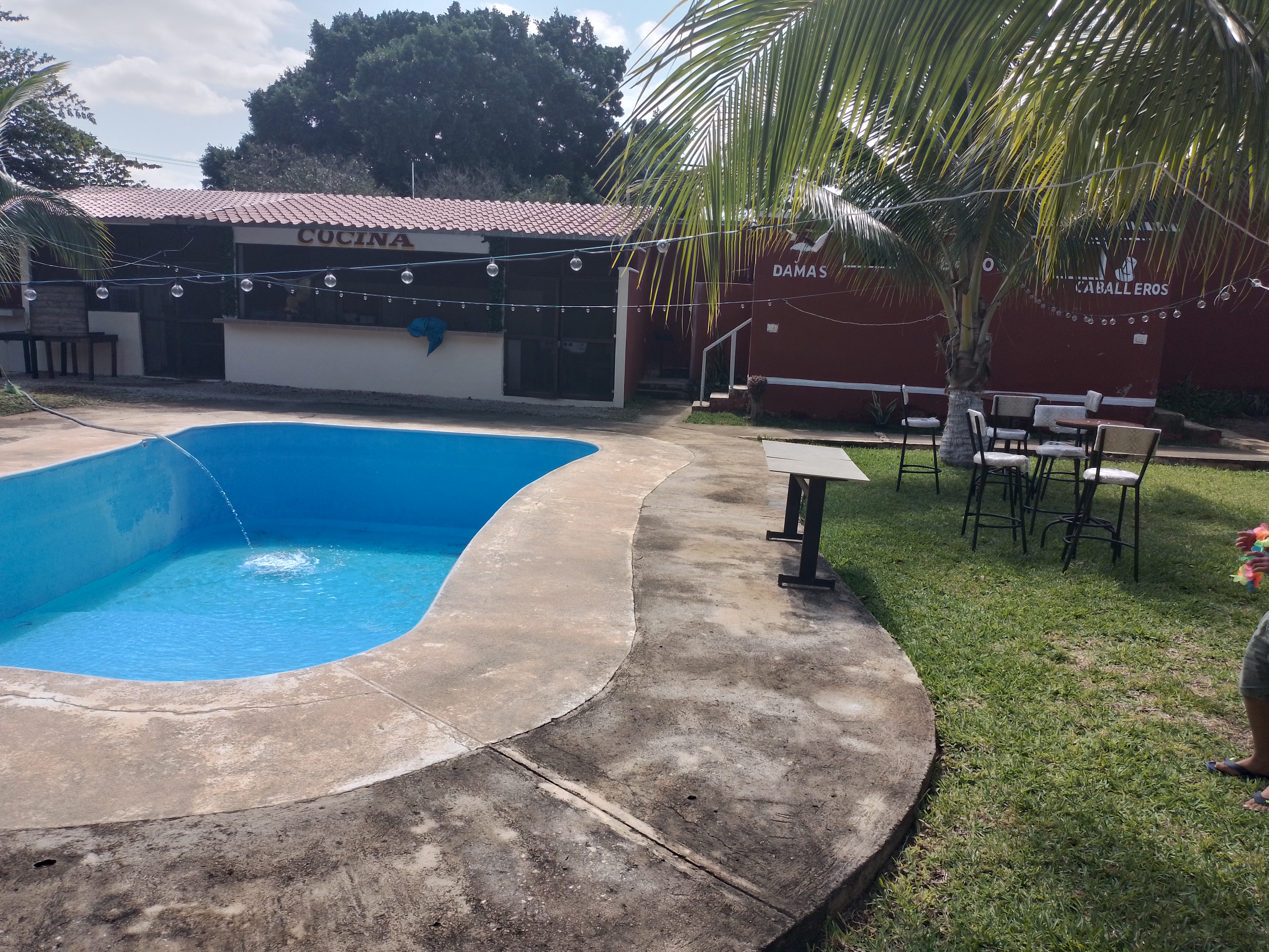 Restaurante Linea image 4