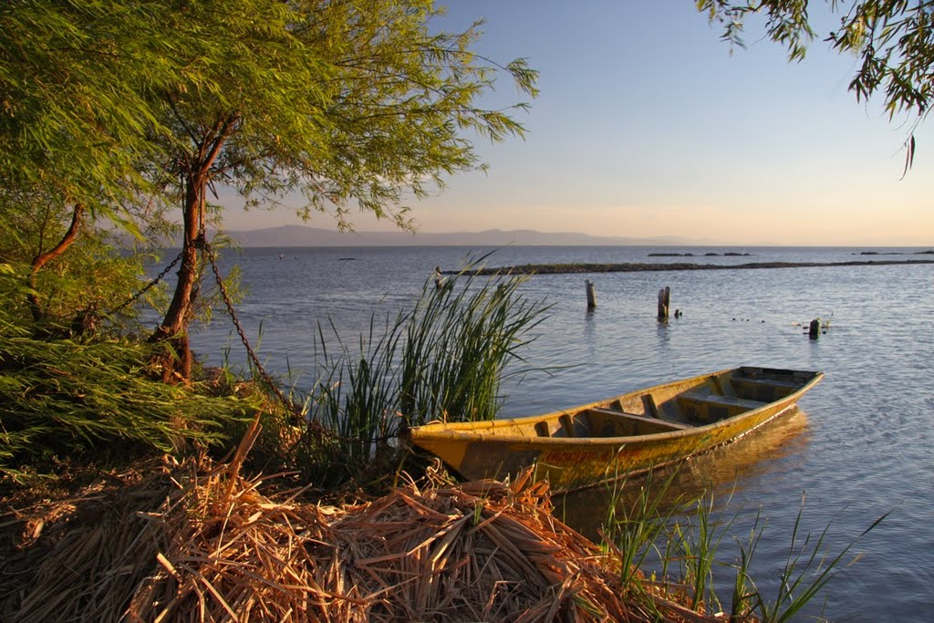 Los molcajetes mariscos image 7