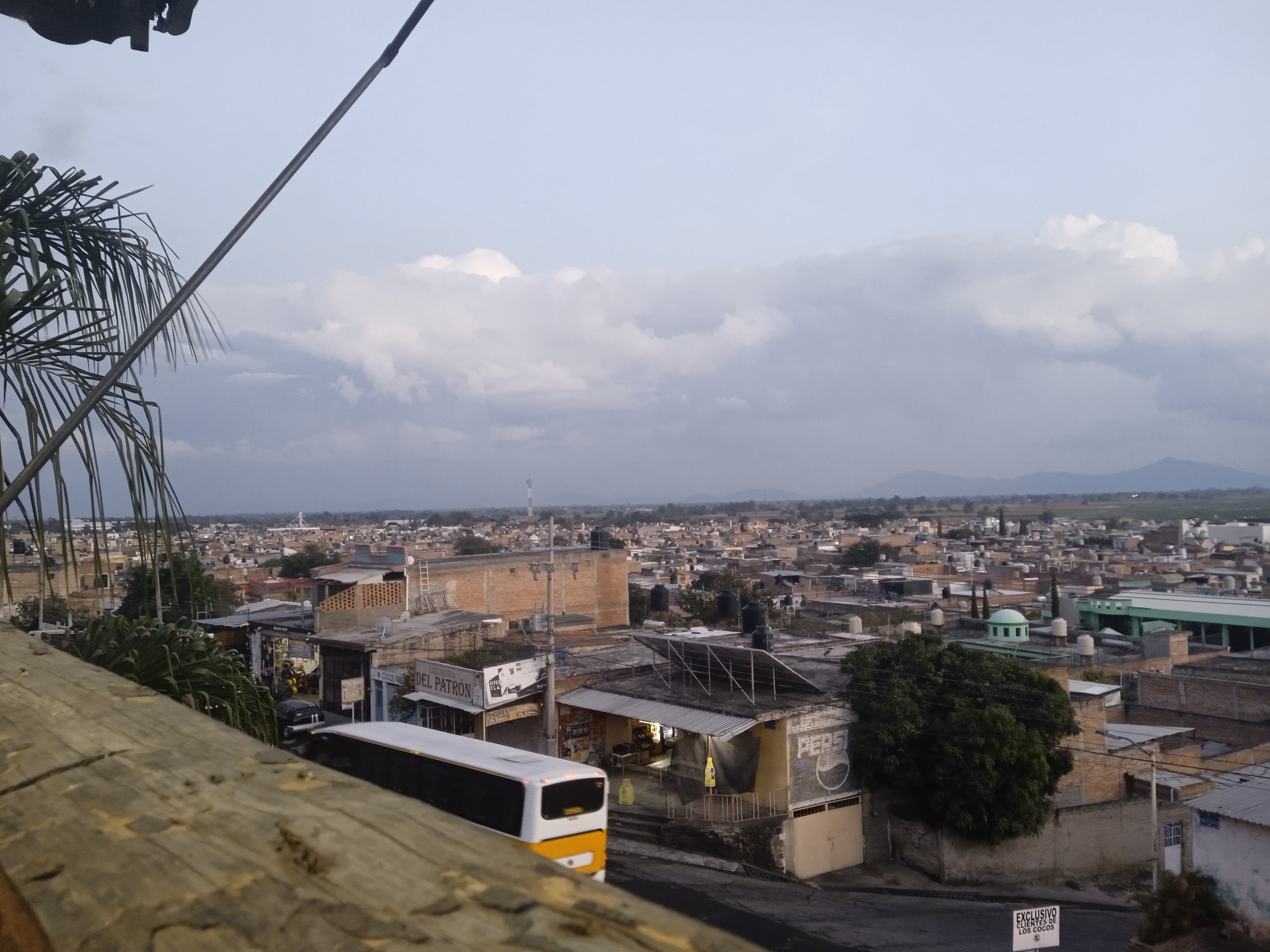 Palapa la mentira image 6