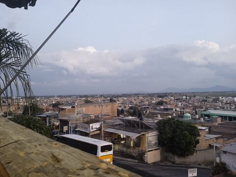 Palapa la mentira image 6