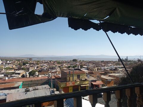 Palapa la mentira image 8