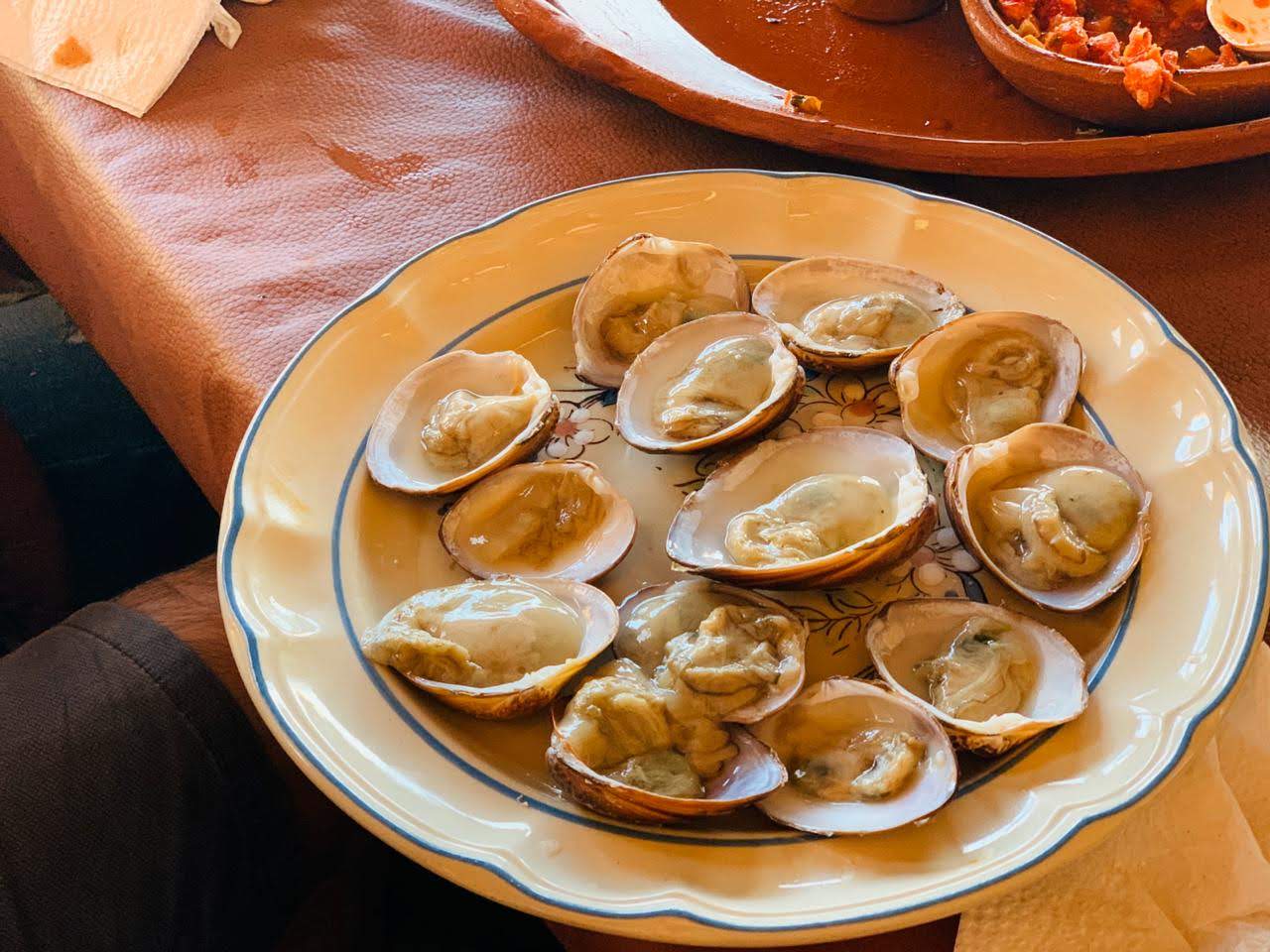 Palapa la mentira image 10