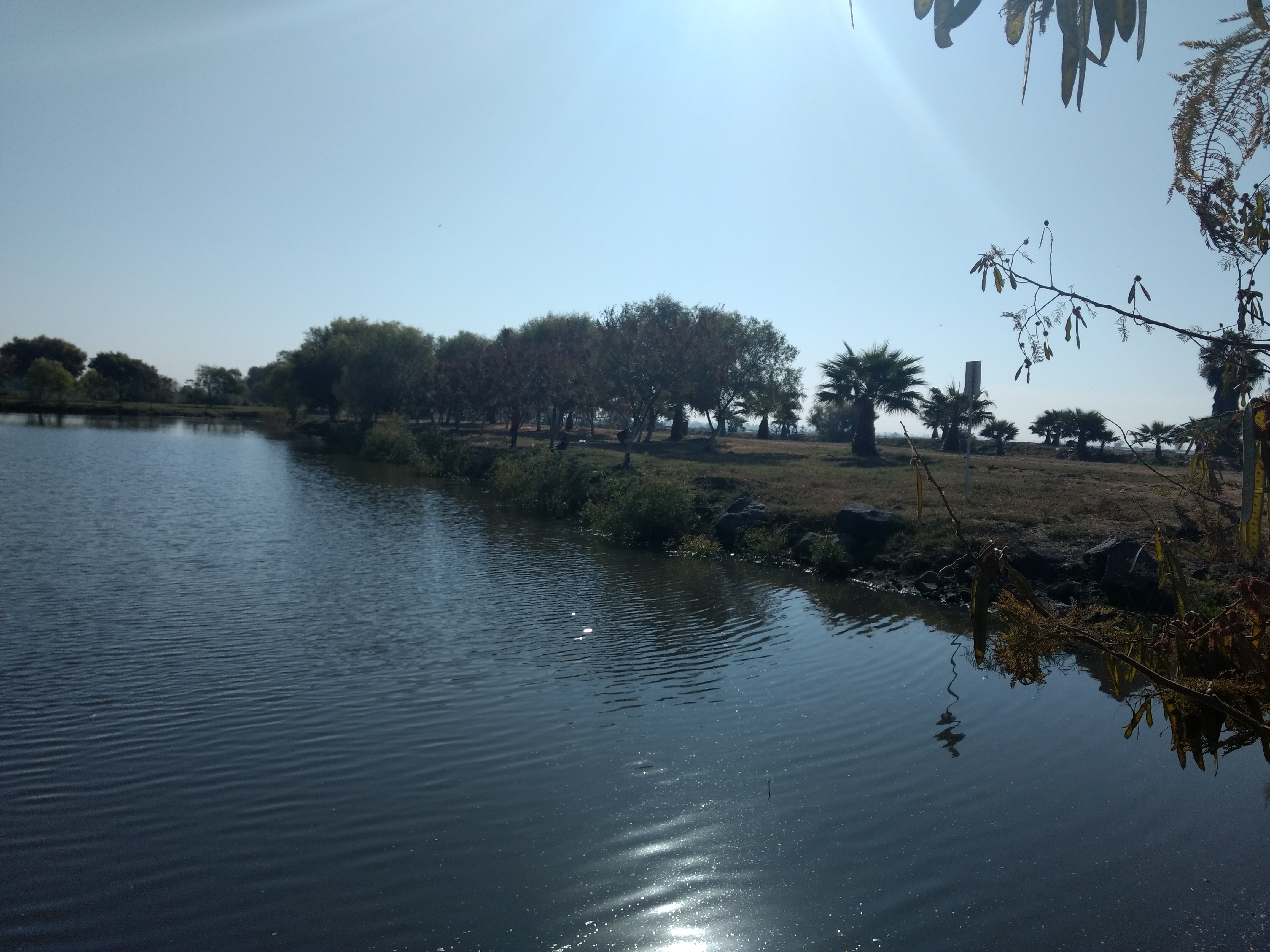 Mariscos La Isla image 3