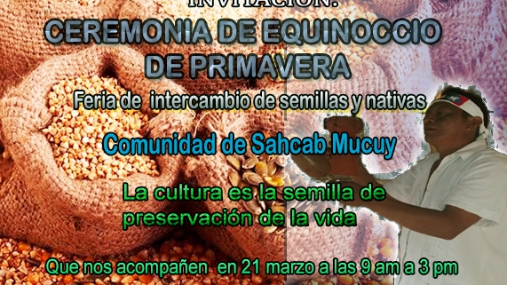 Centro santuario de usos y costumbres image 3