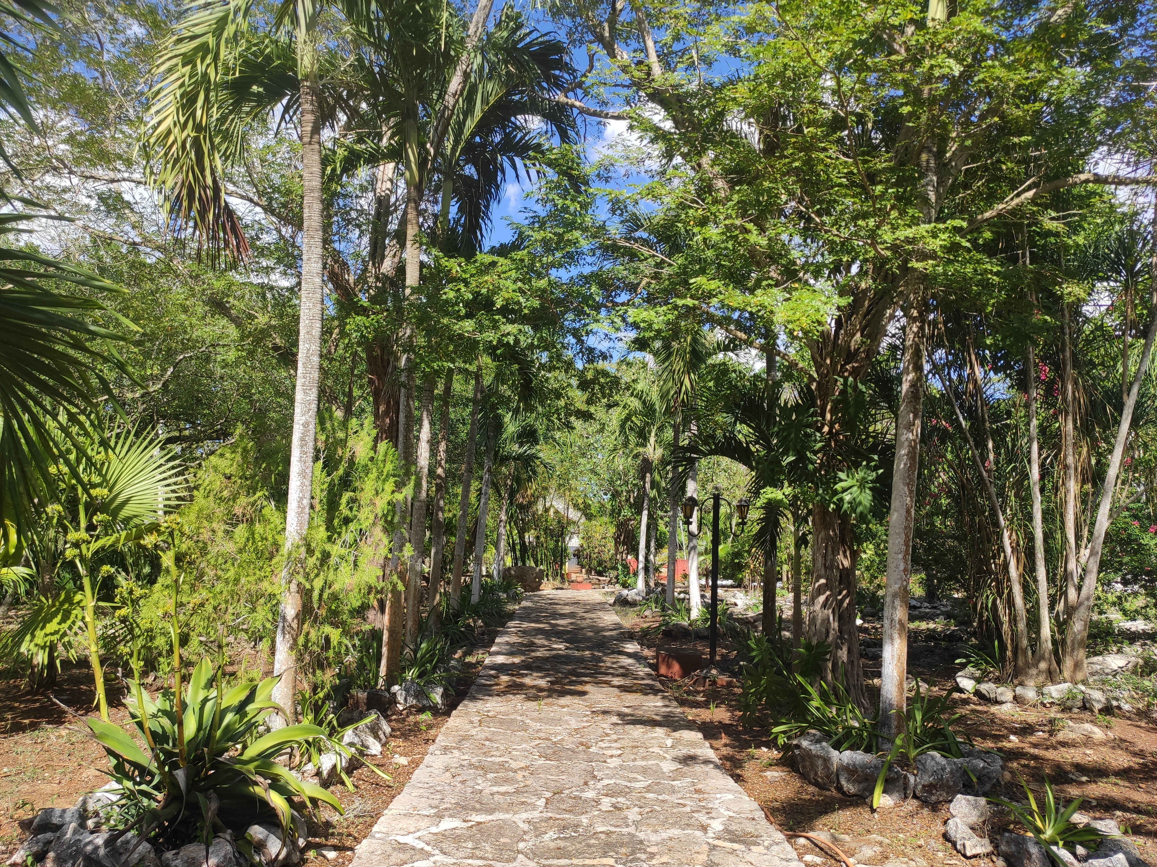 Hacienda Tikuch image 3