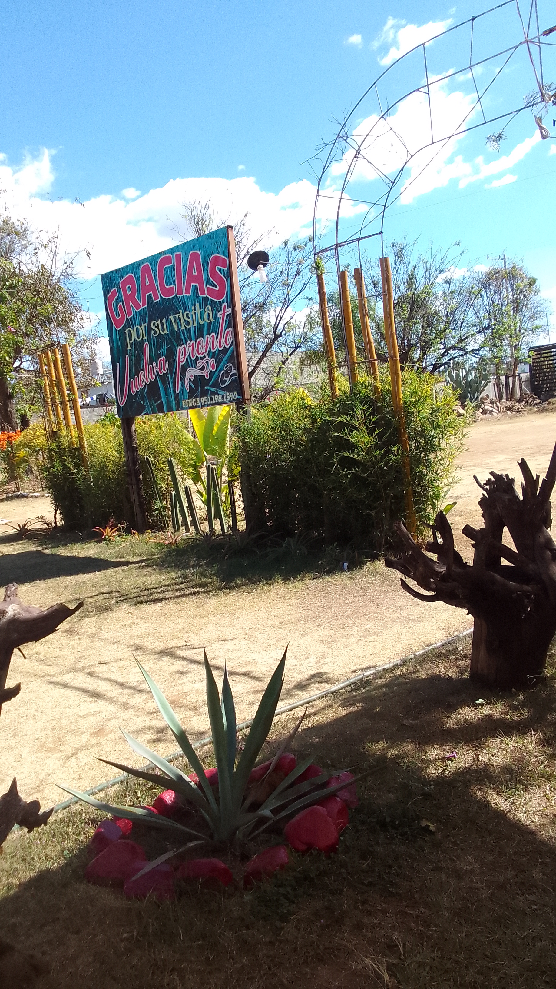 Marisqueria Majahua image 1