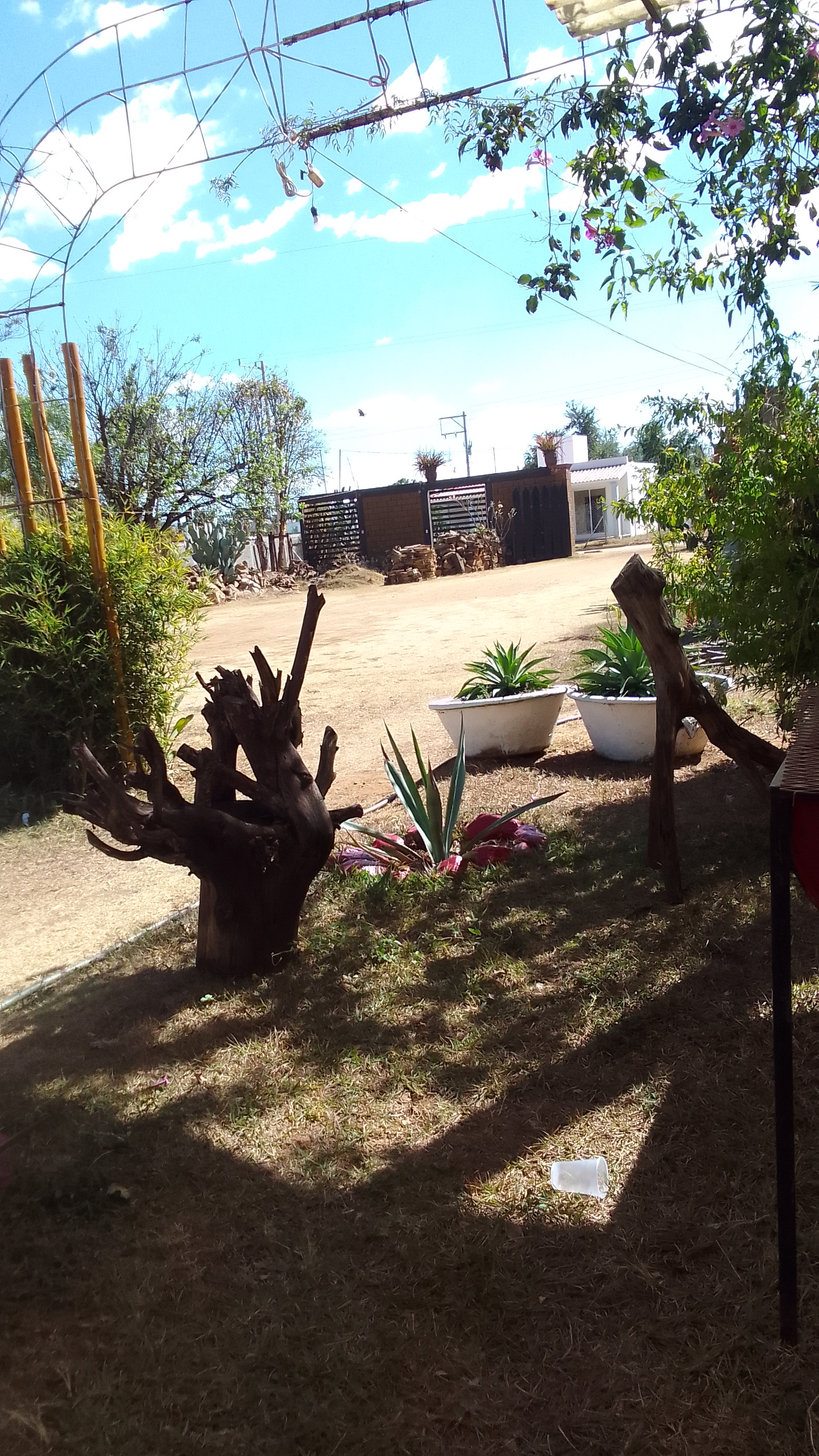 Marisqueria Majahua image 2