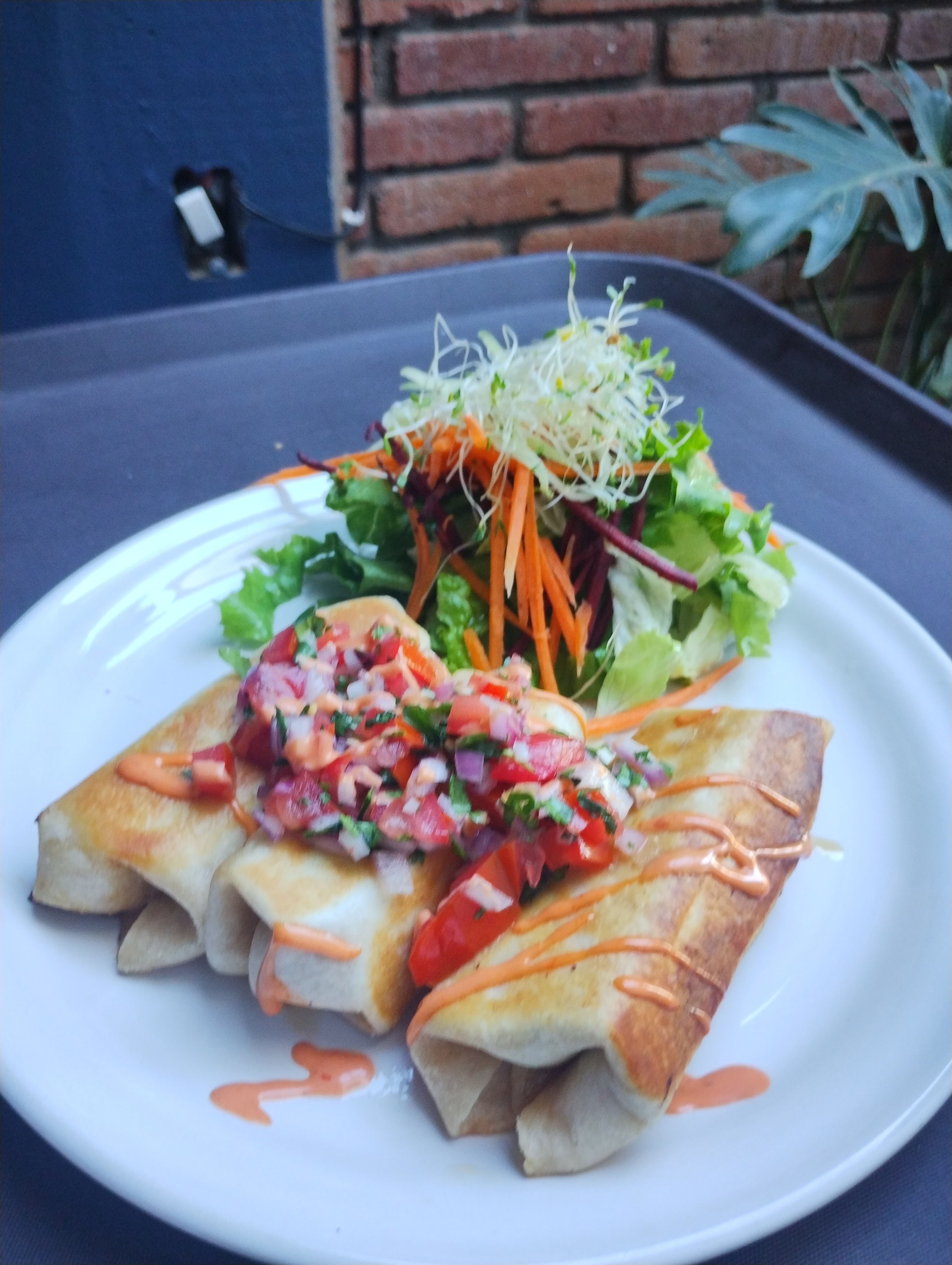 Marisquería Sol y Mar image 10