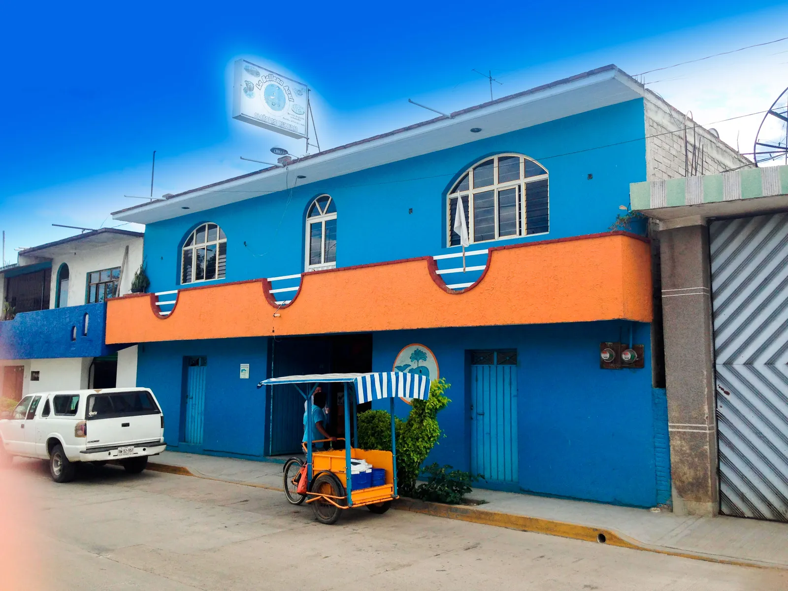 La Ballena Azul image 1