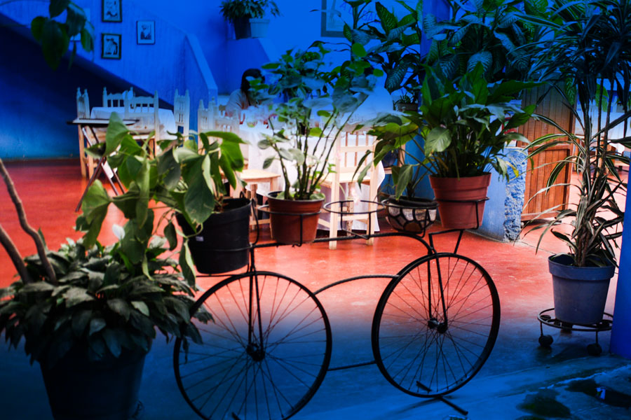 La Ballena Azul image 3