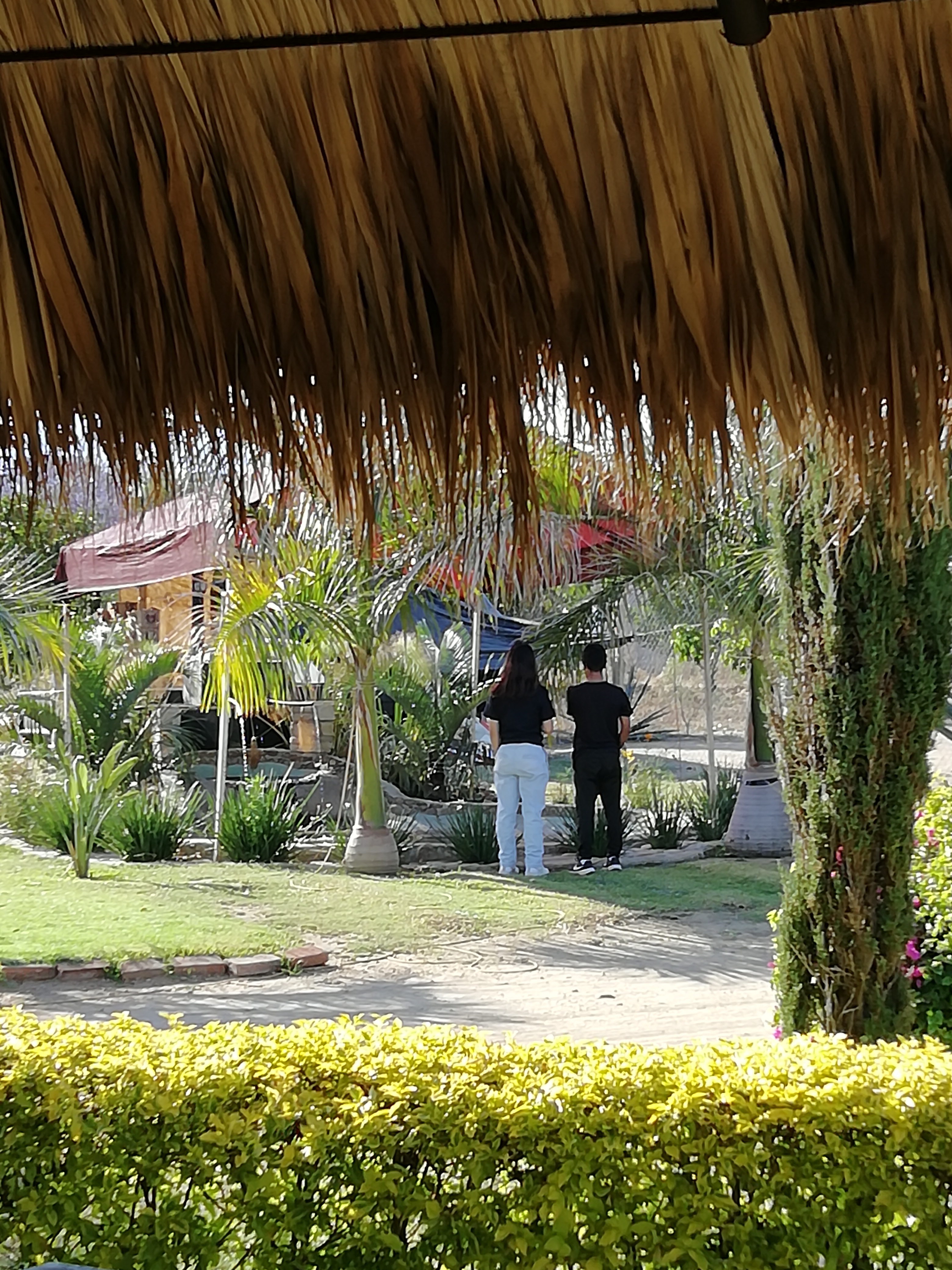 Las Delicias del Mar image 6