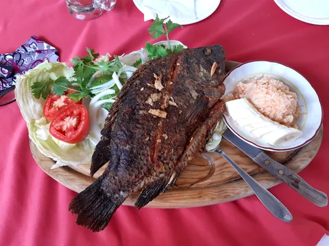 Coco Fish image 1