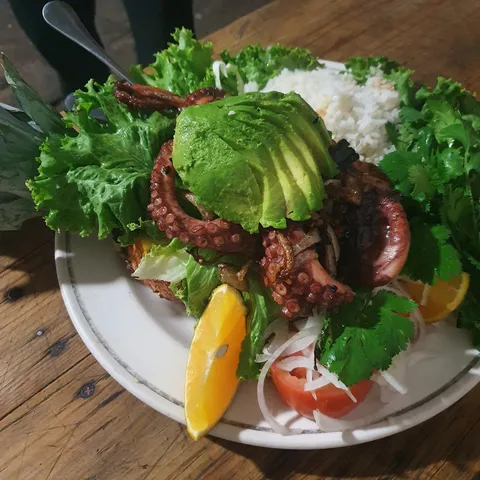 Coco Fish image 3