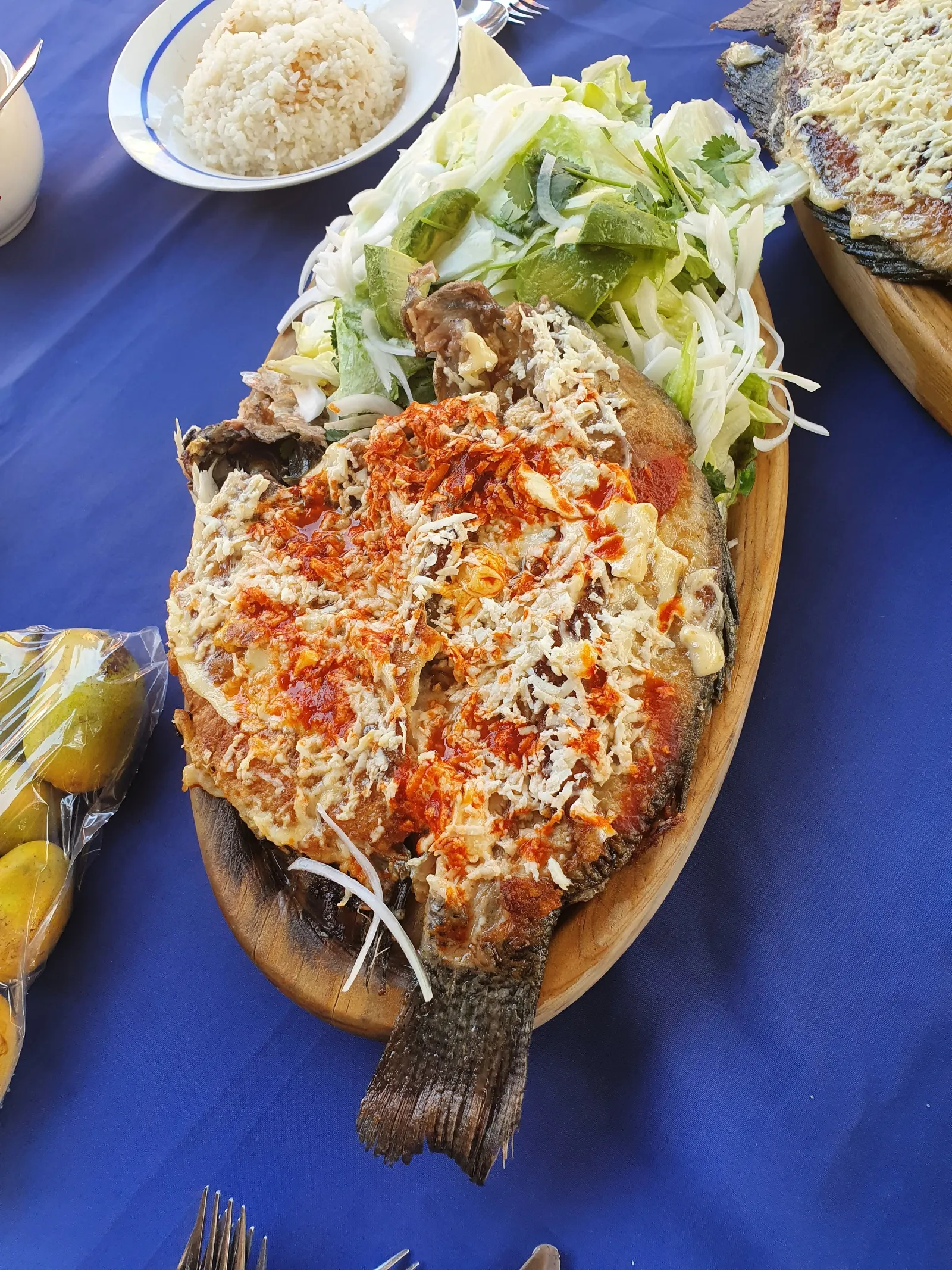 Coco Fish image 5