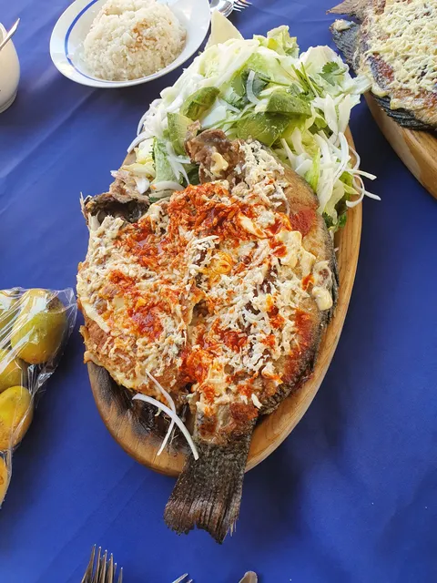 Coco Fish image 5